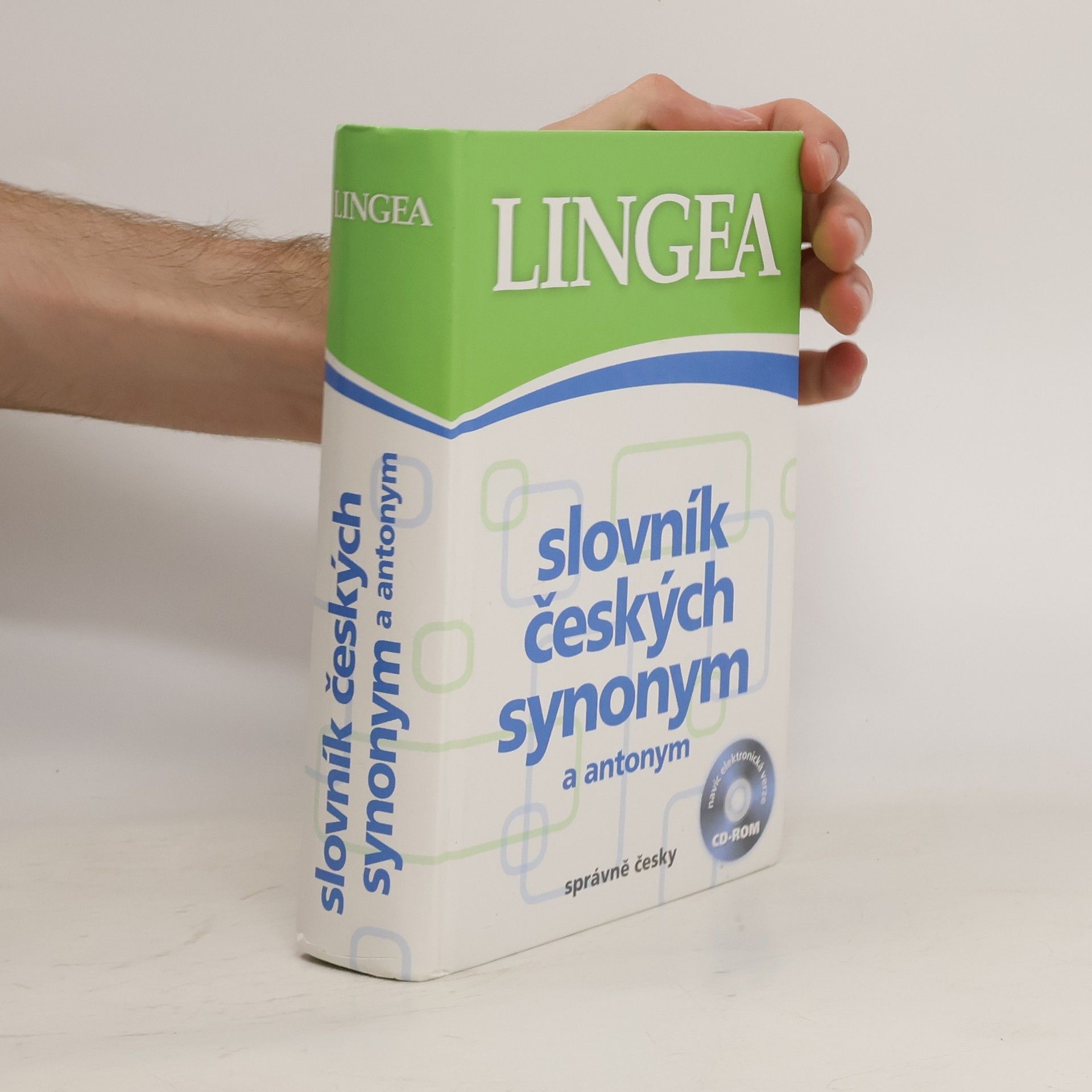 Autorenkollektiv Slovník českých synonym a antonym