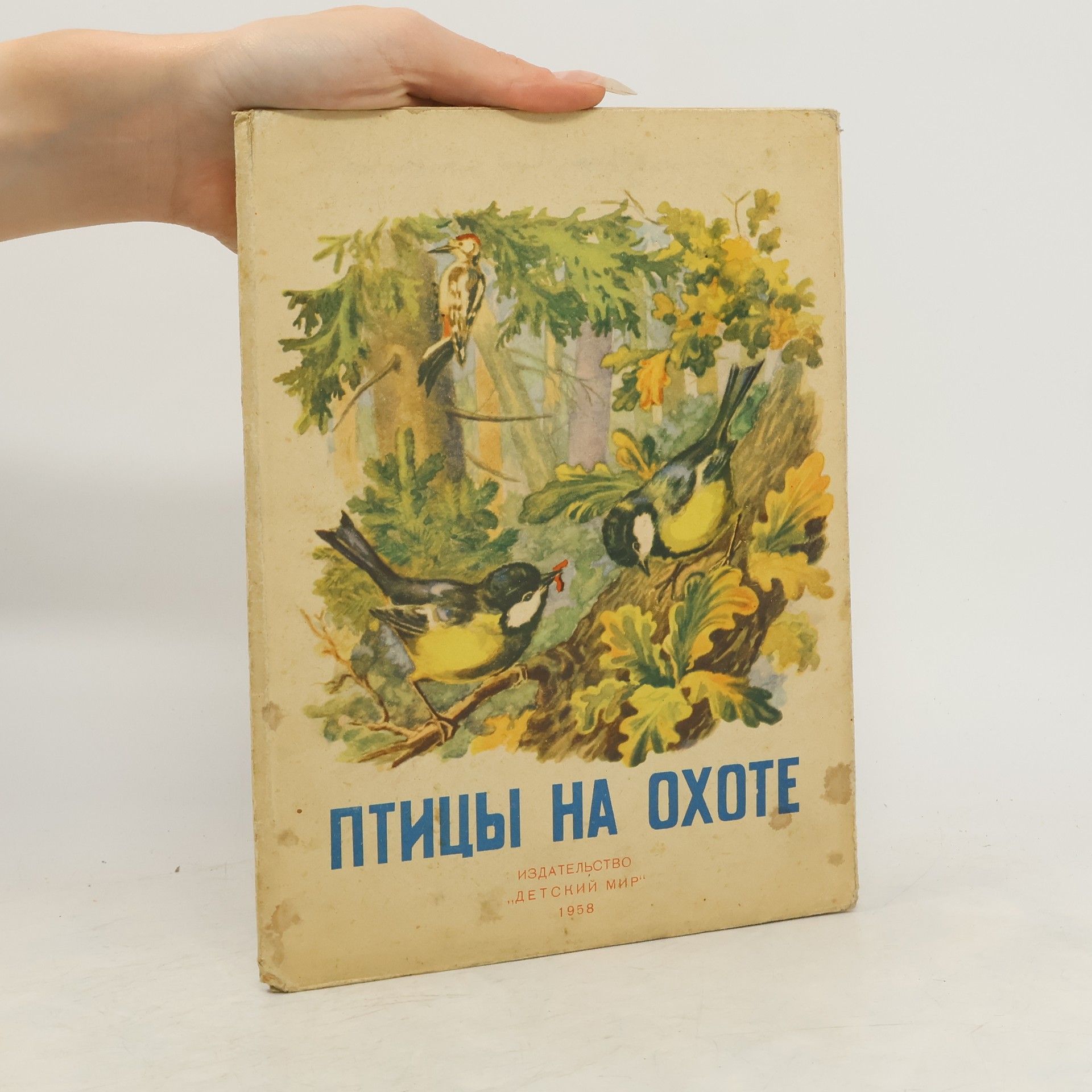 Autorenkollektiv Птицы на охоте