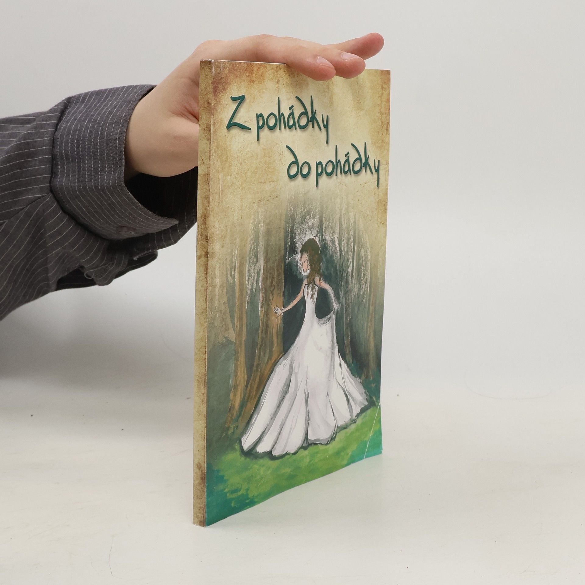 Auteurscollectief Z pohádky do pohádky