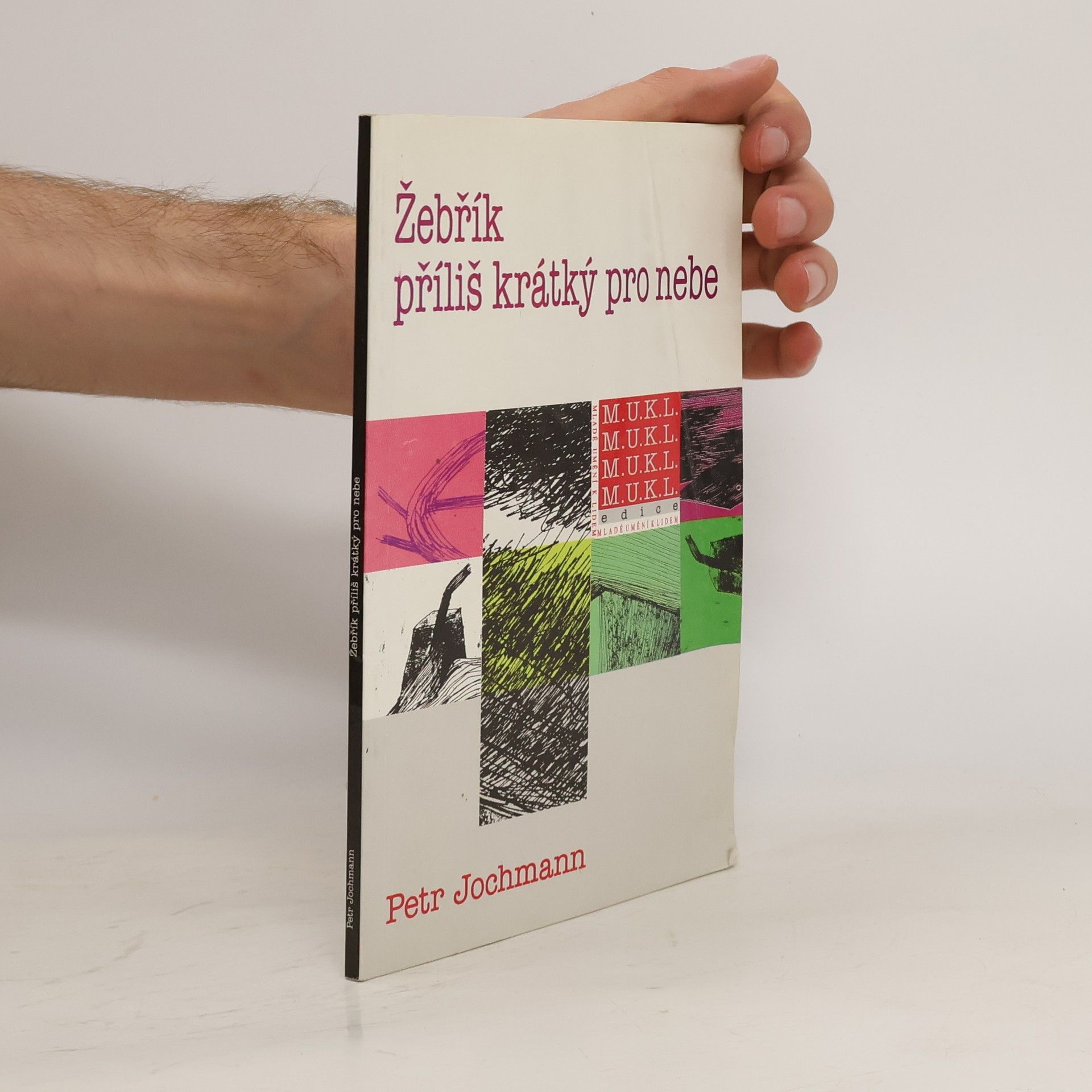 Žebřík příliš krátký pro nebe