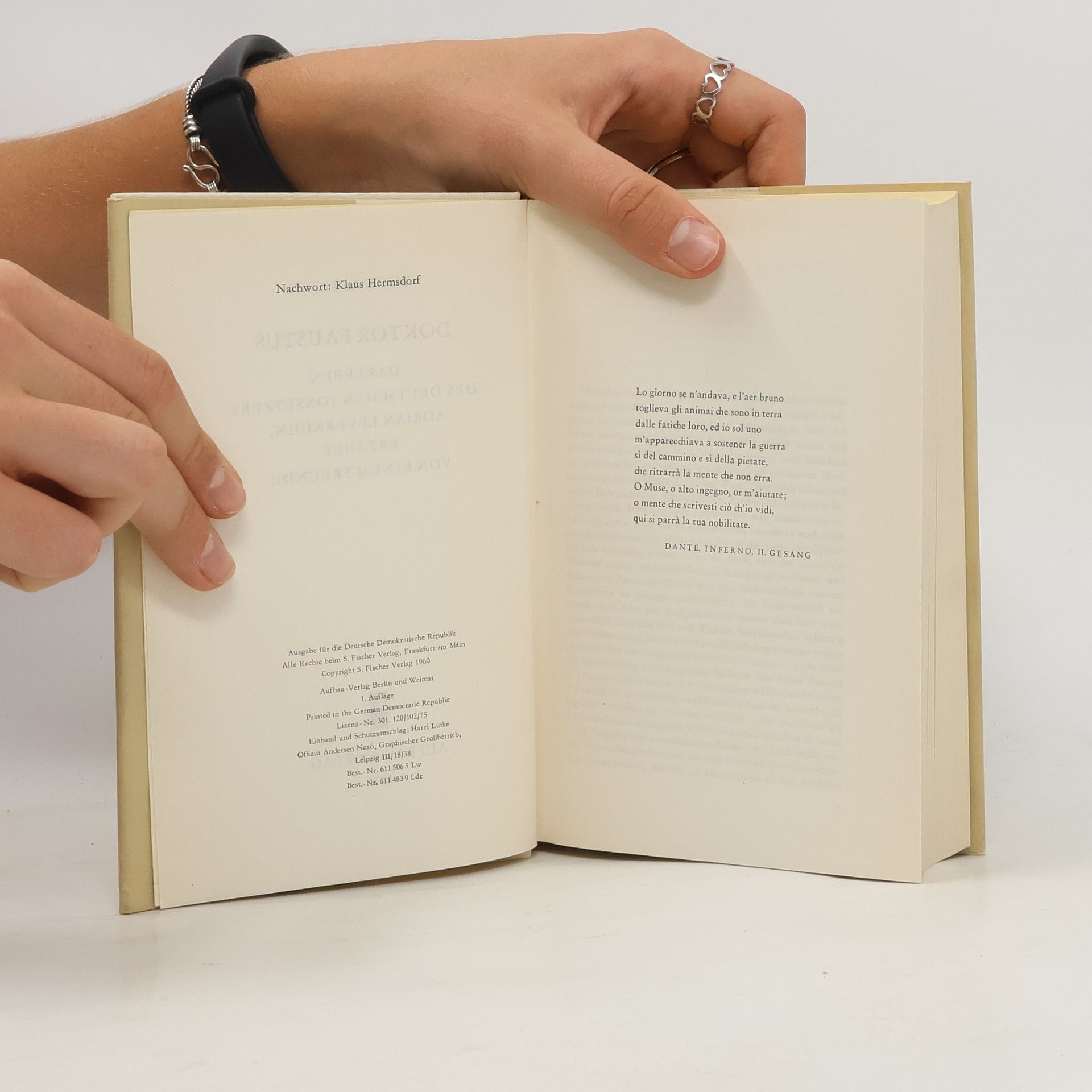 Thomas Mann Romane und Erzählungen. Band 6