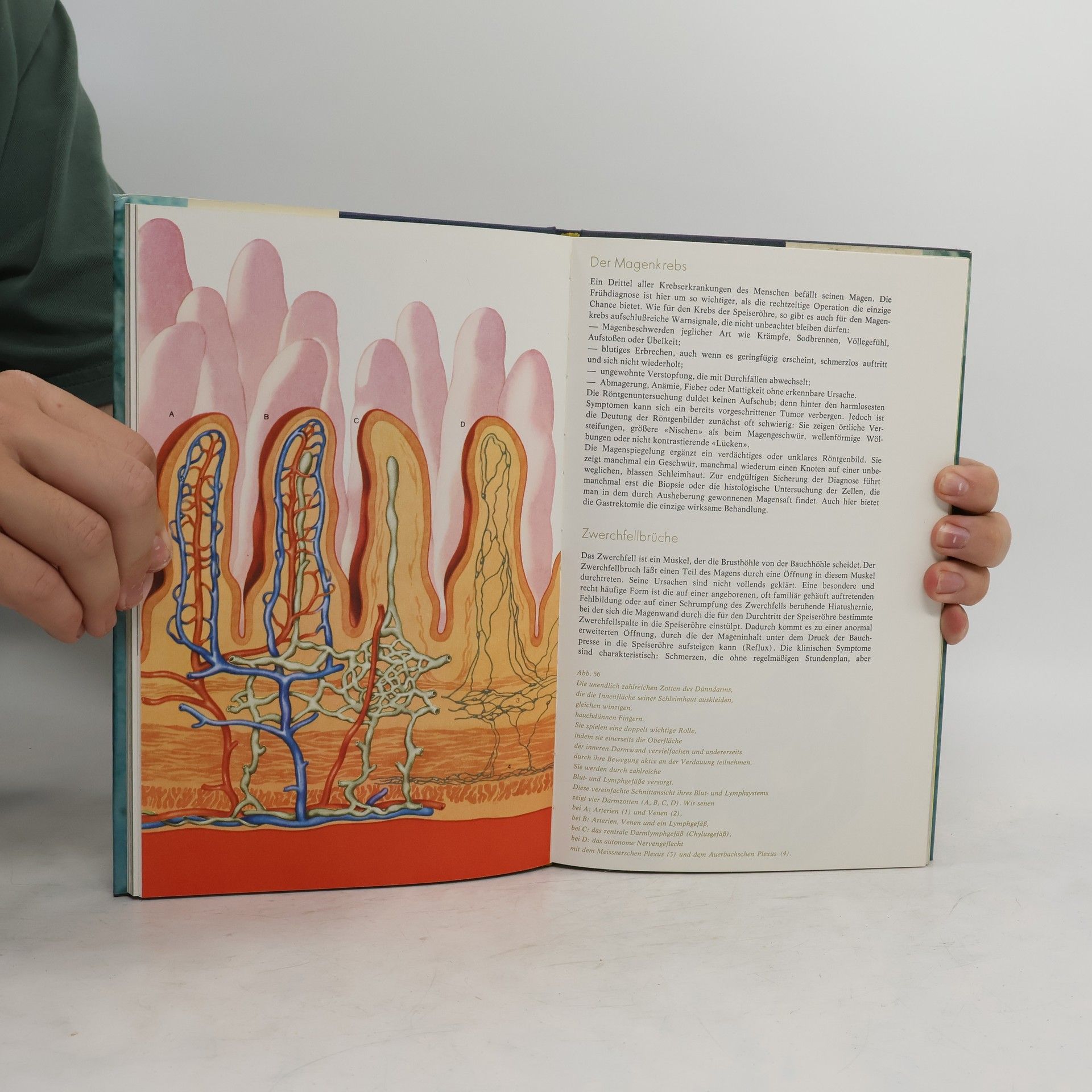Various authors Das Buch der Gesundheit 6. Mund und Zähne. Der Verdauungsapparat.Die Nierin
