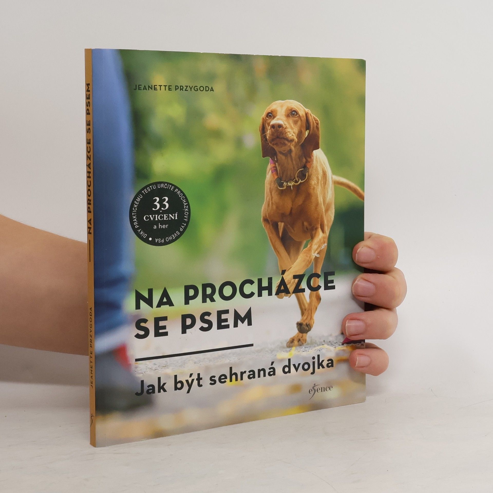 Jeanette Przygoda Na procházce se psem. Zábava pro každý typ psa