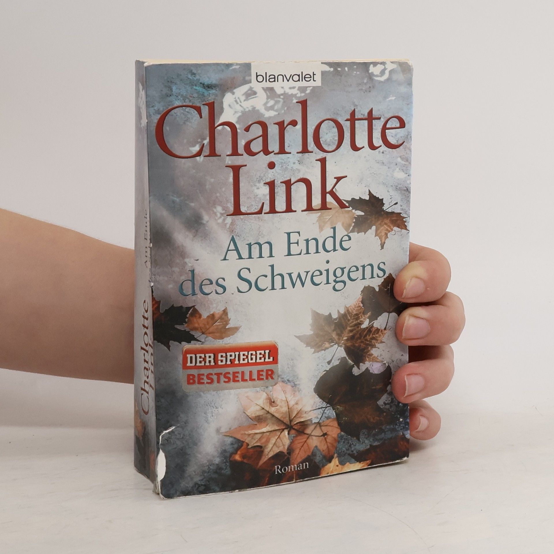 Charlotte Link Am Ende des Schweigens