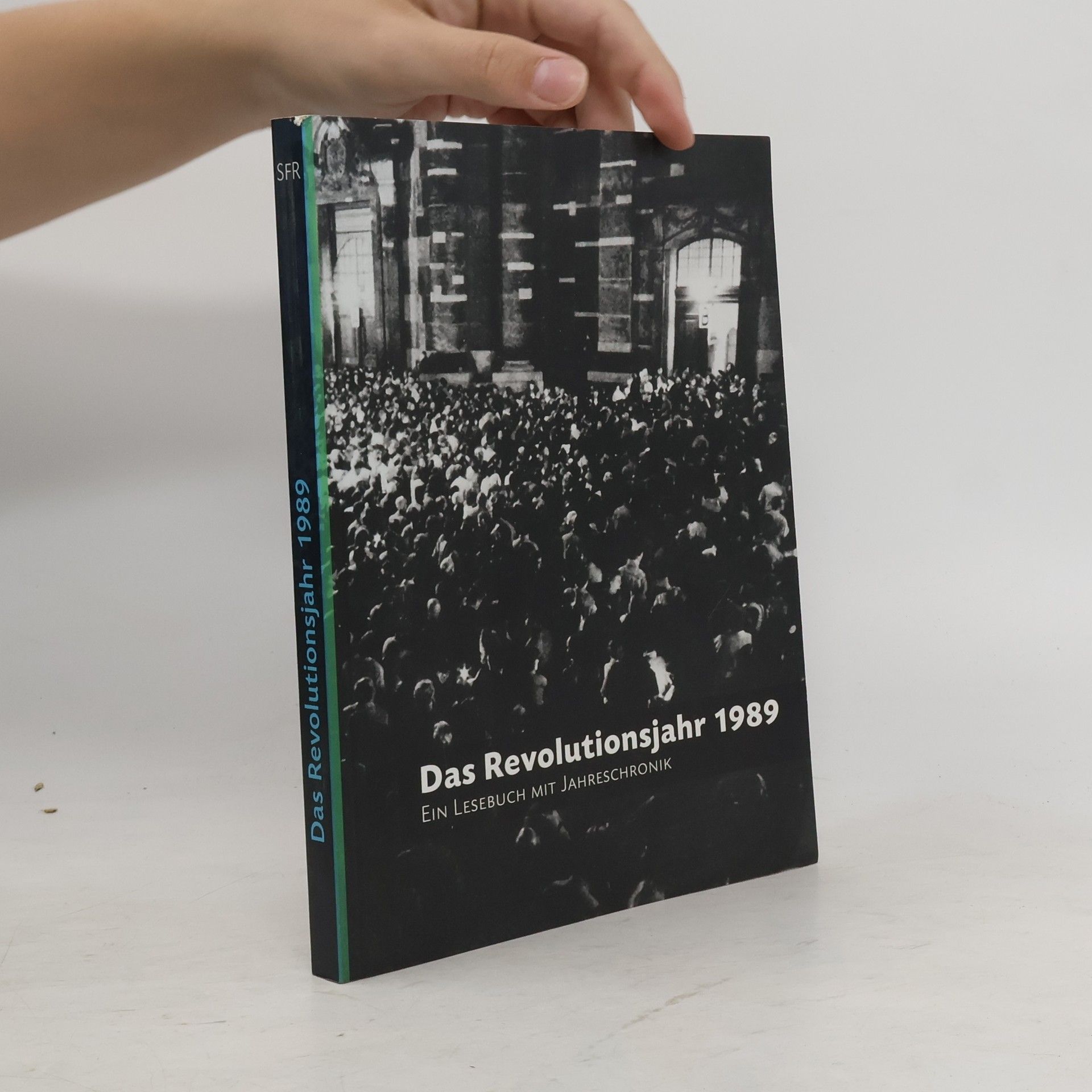 Gesine Oltmanns Das Revolutionsjahr 1989