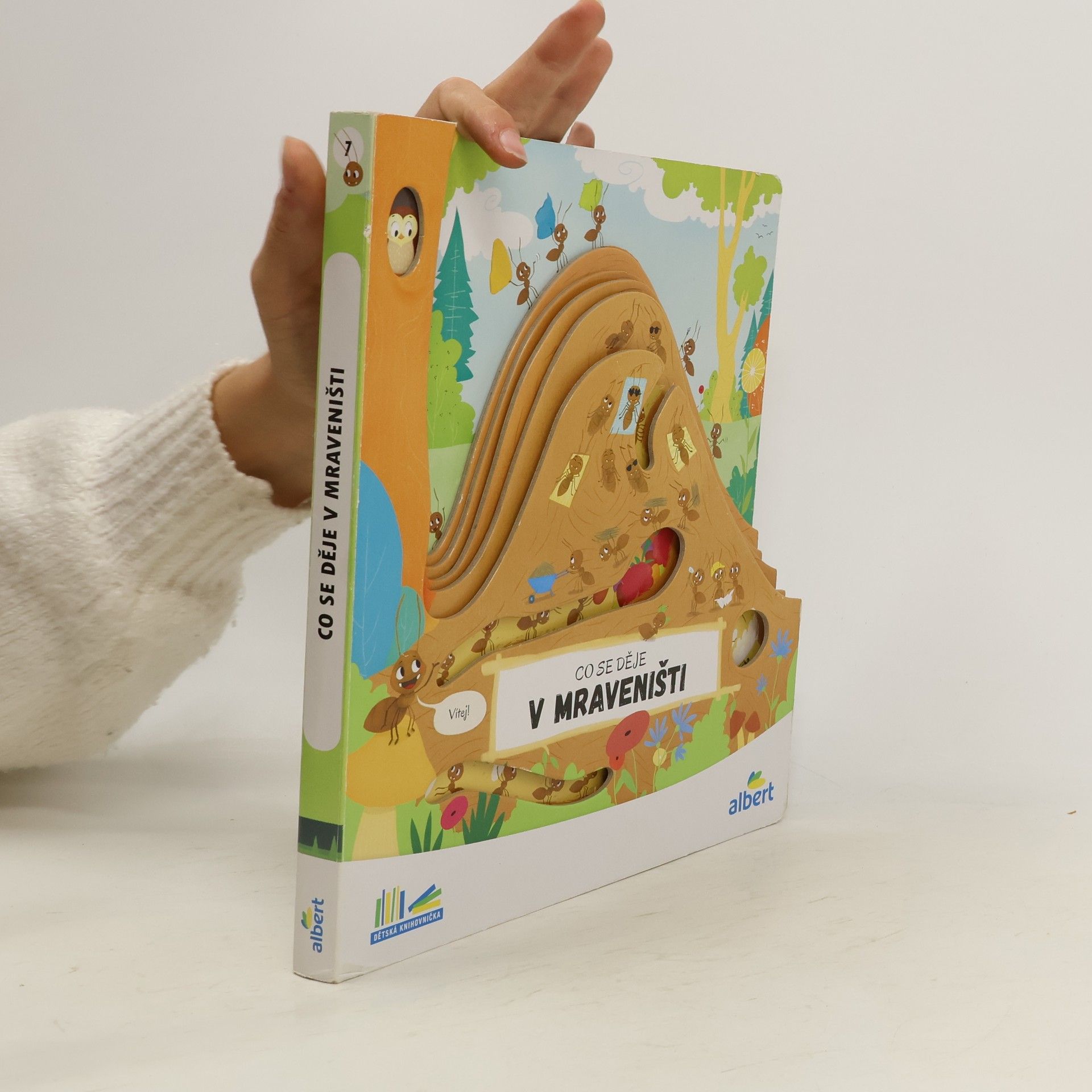 Autorenkollektiv Co se děje v mraveništi