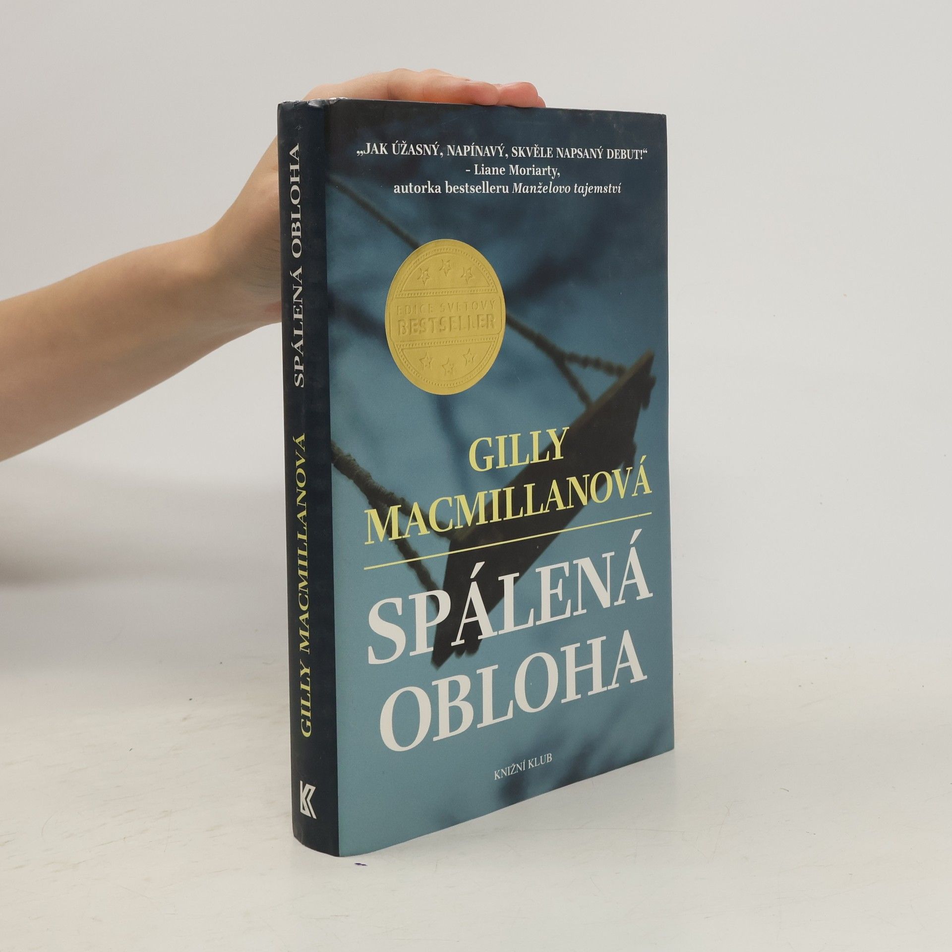Gilly Macmillan Spálená obloha