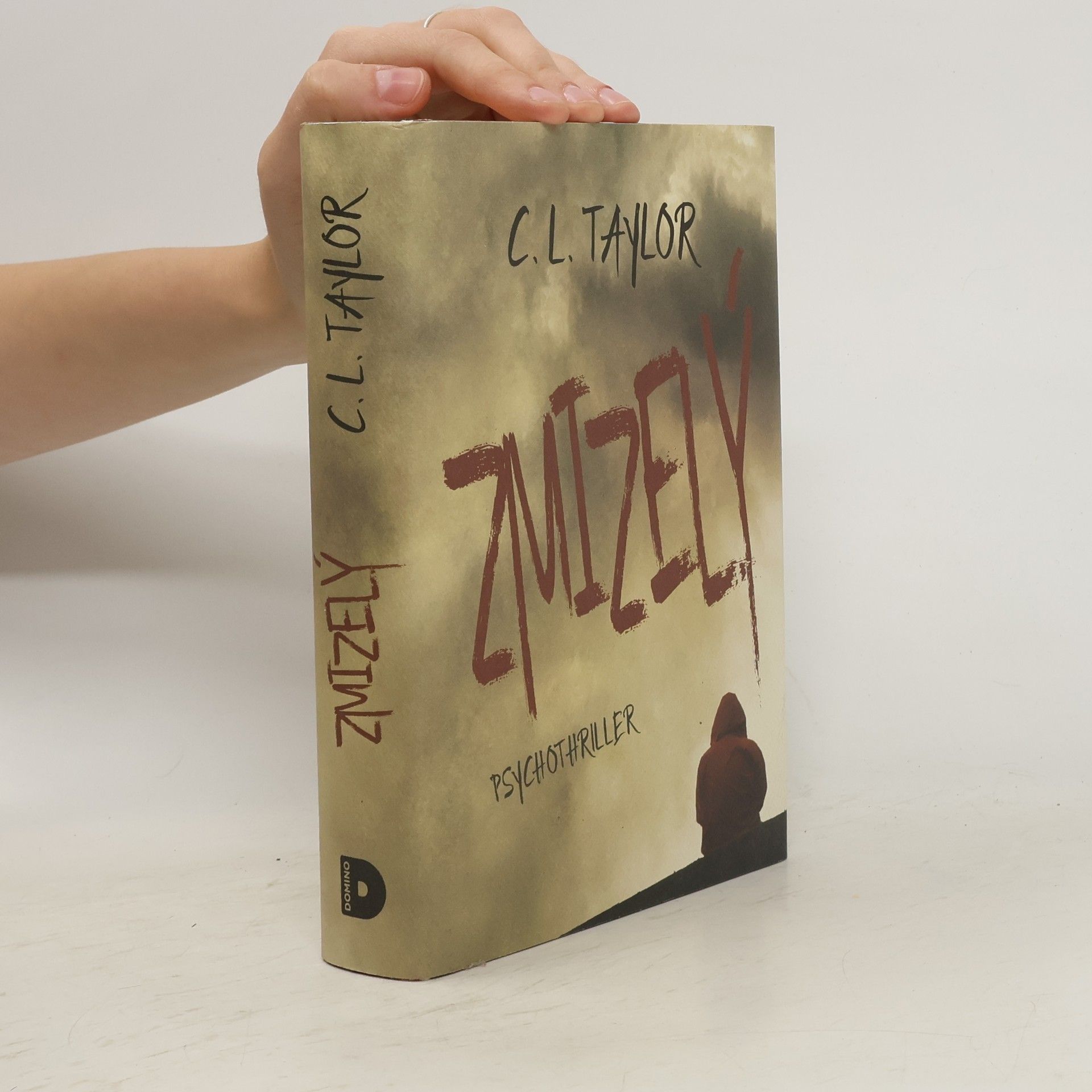 C.L. Taylor Zmizelý