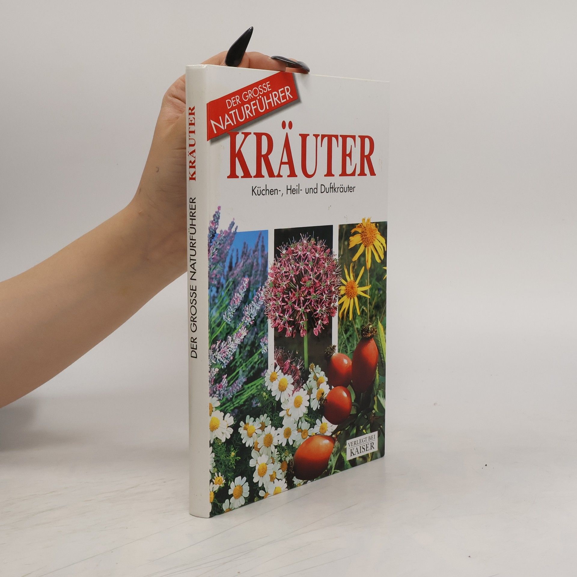 Kräuter. Küchen-, Heil- und Duftkräuter