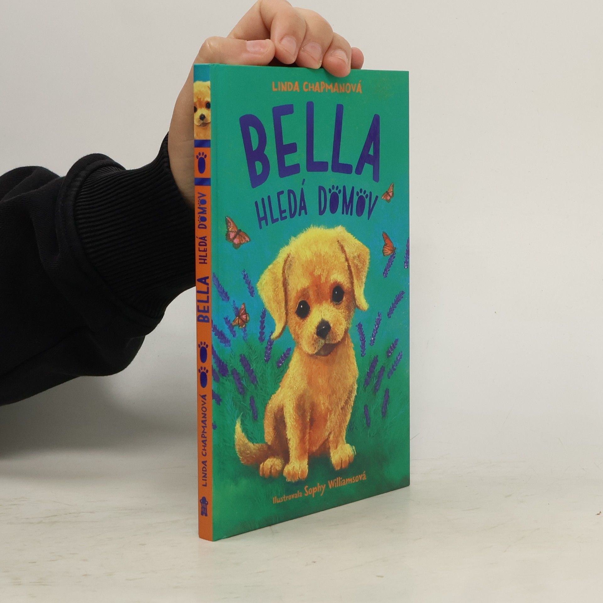 Linda Chapman Bella hledá domov