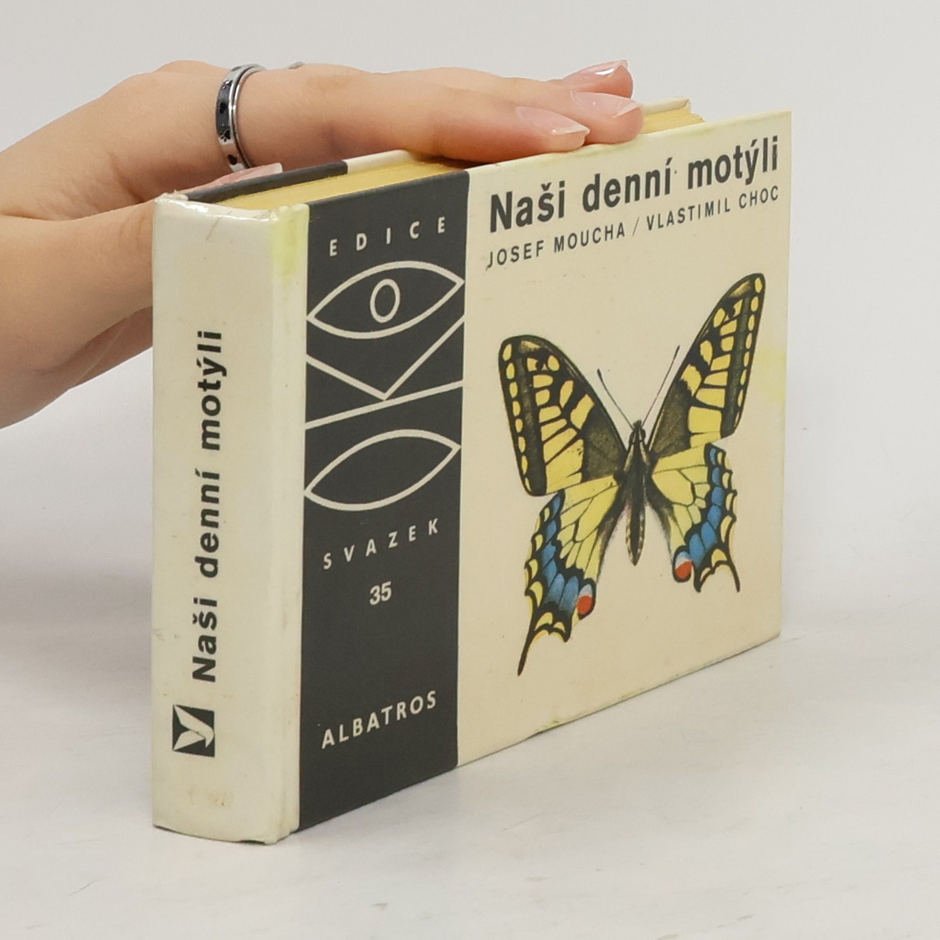 Naši denní motýli