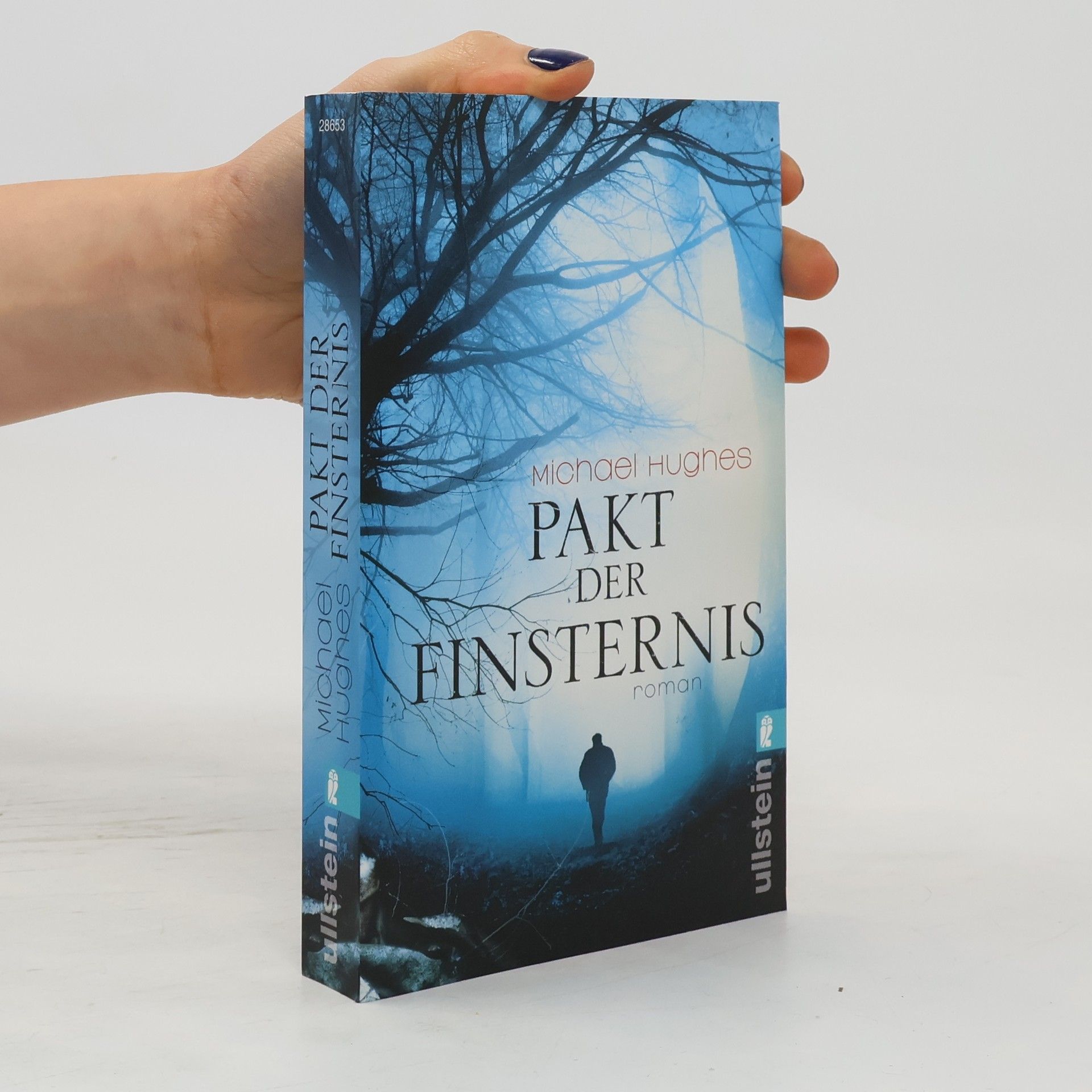 Michael Hughes Pakt der Finsternis