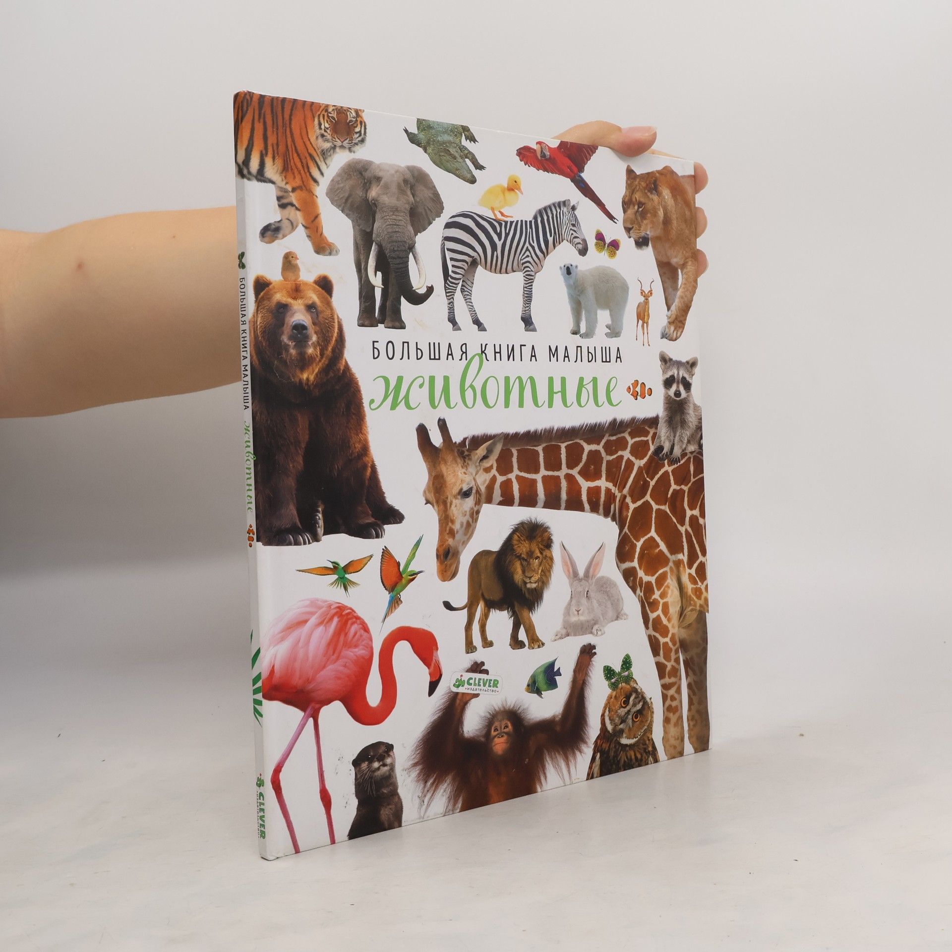 Collectif d'auteurs Большая книга малыша