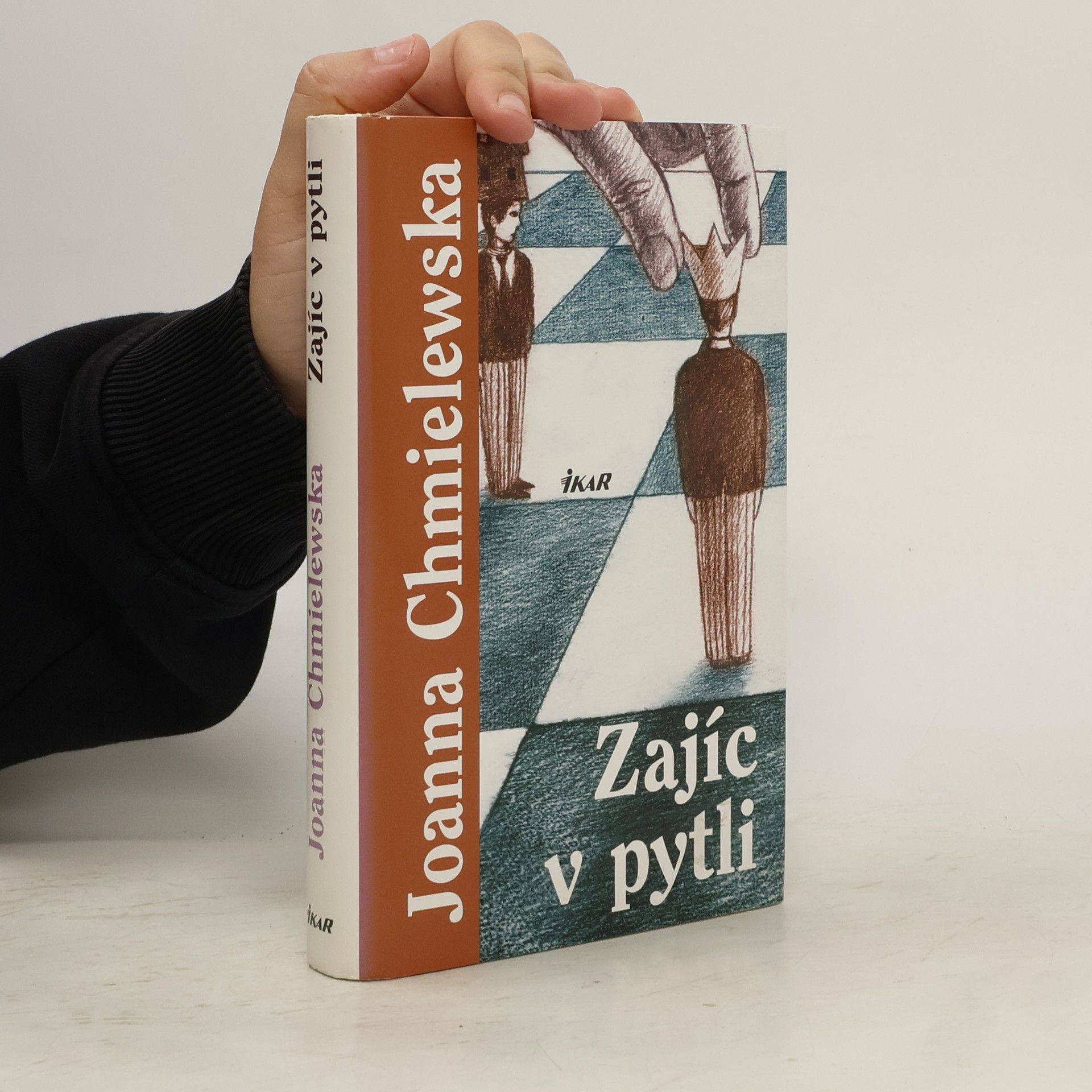 Joanna Chmielewská Zajíc v pytli