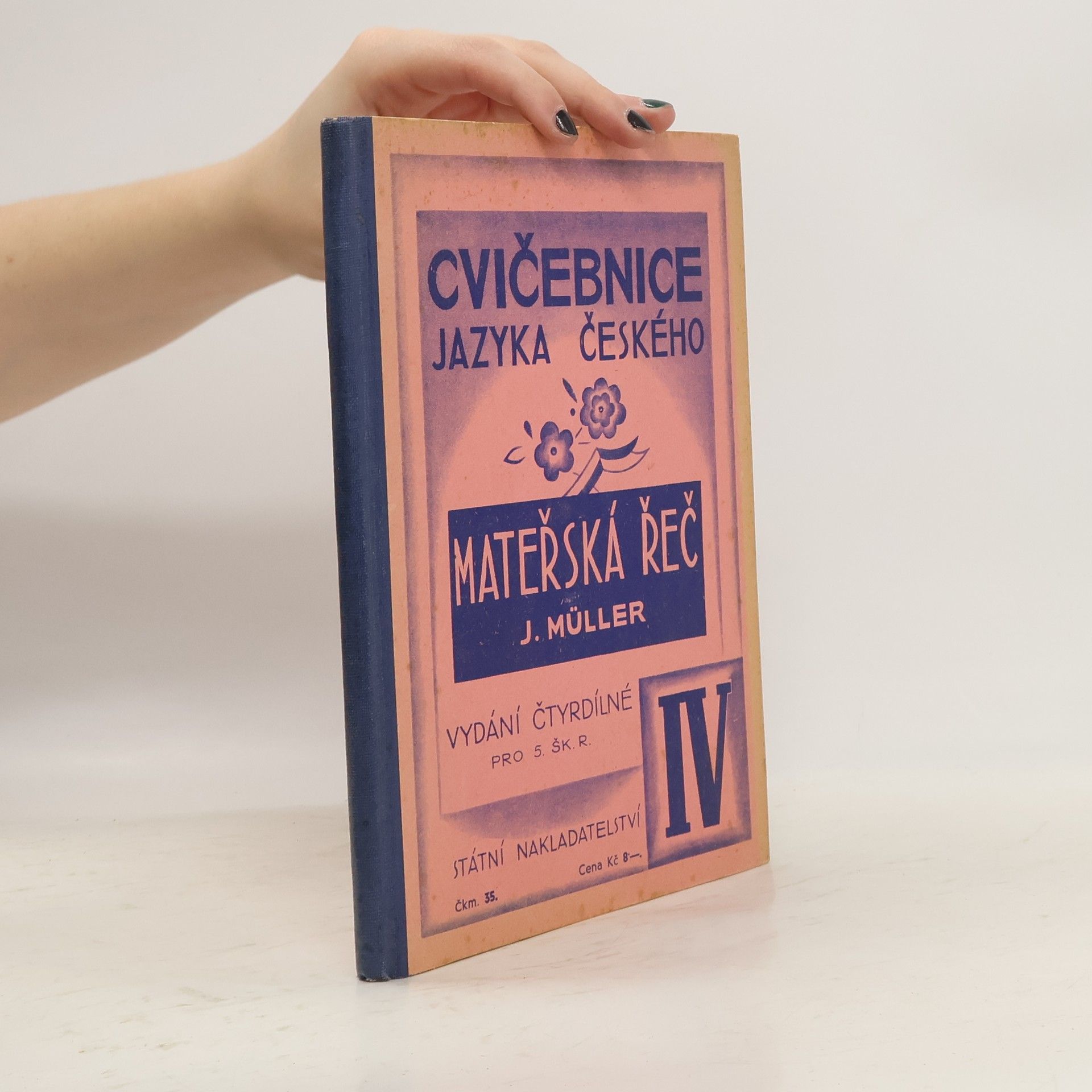 Kolektiv autorů Mateřská řeč IV.