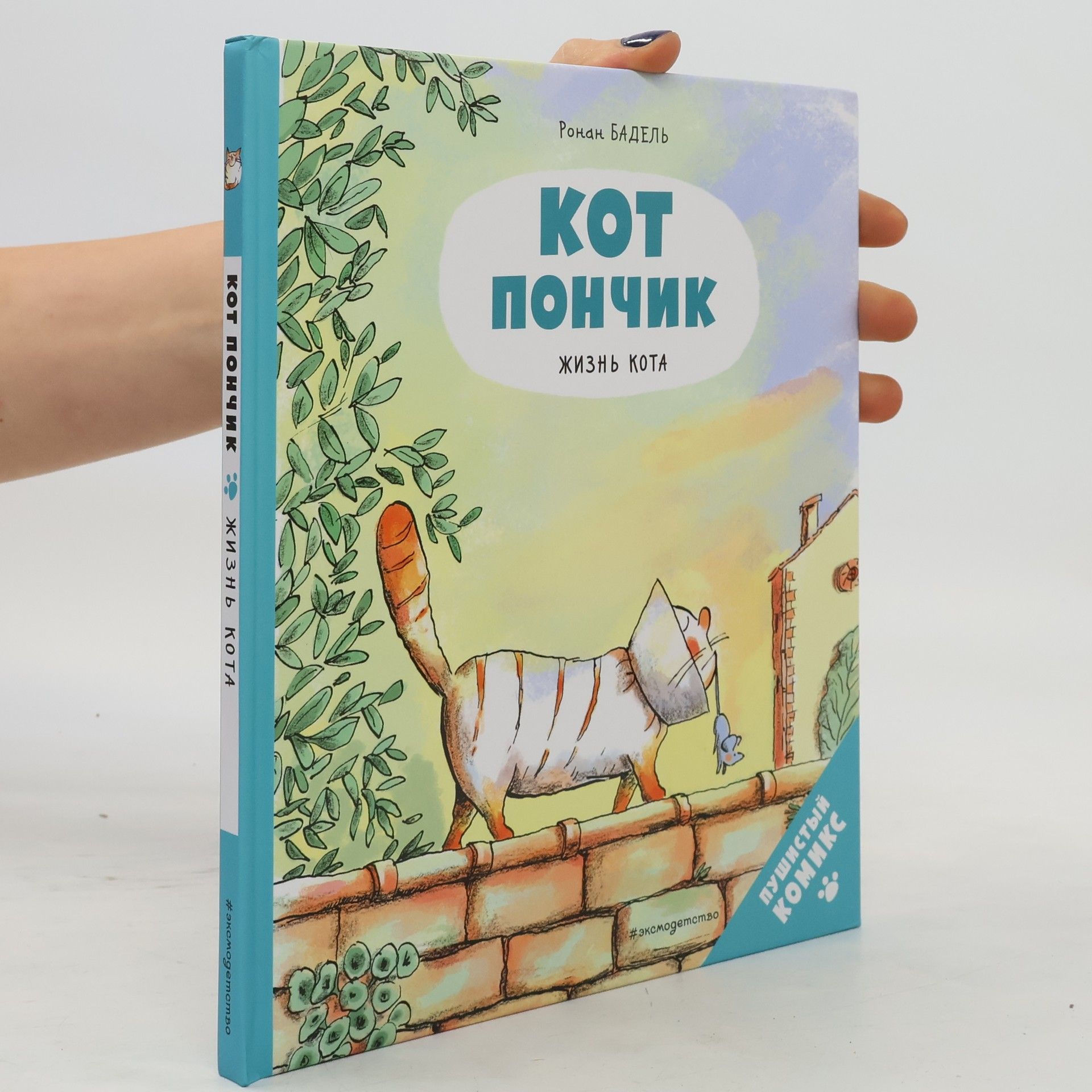 Ot пончик жизнь кота