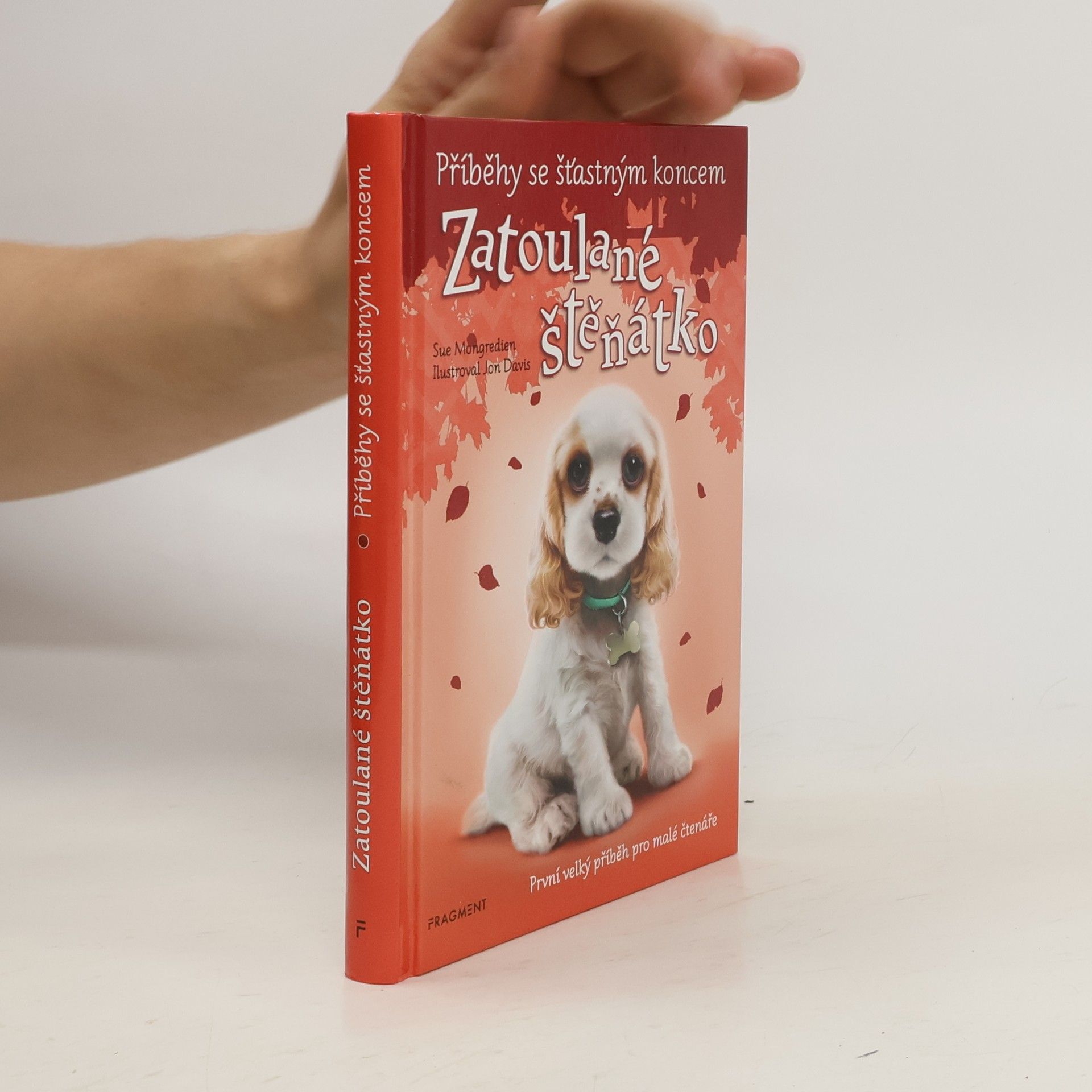 Jon Davis Zatoulané štěňátko