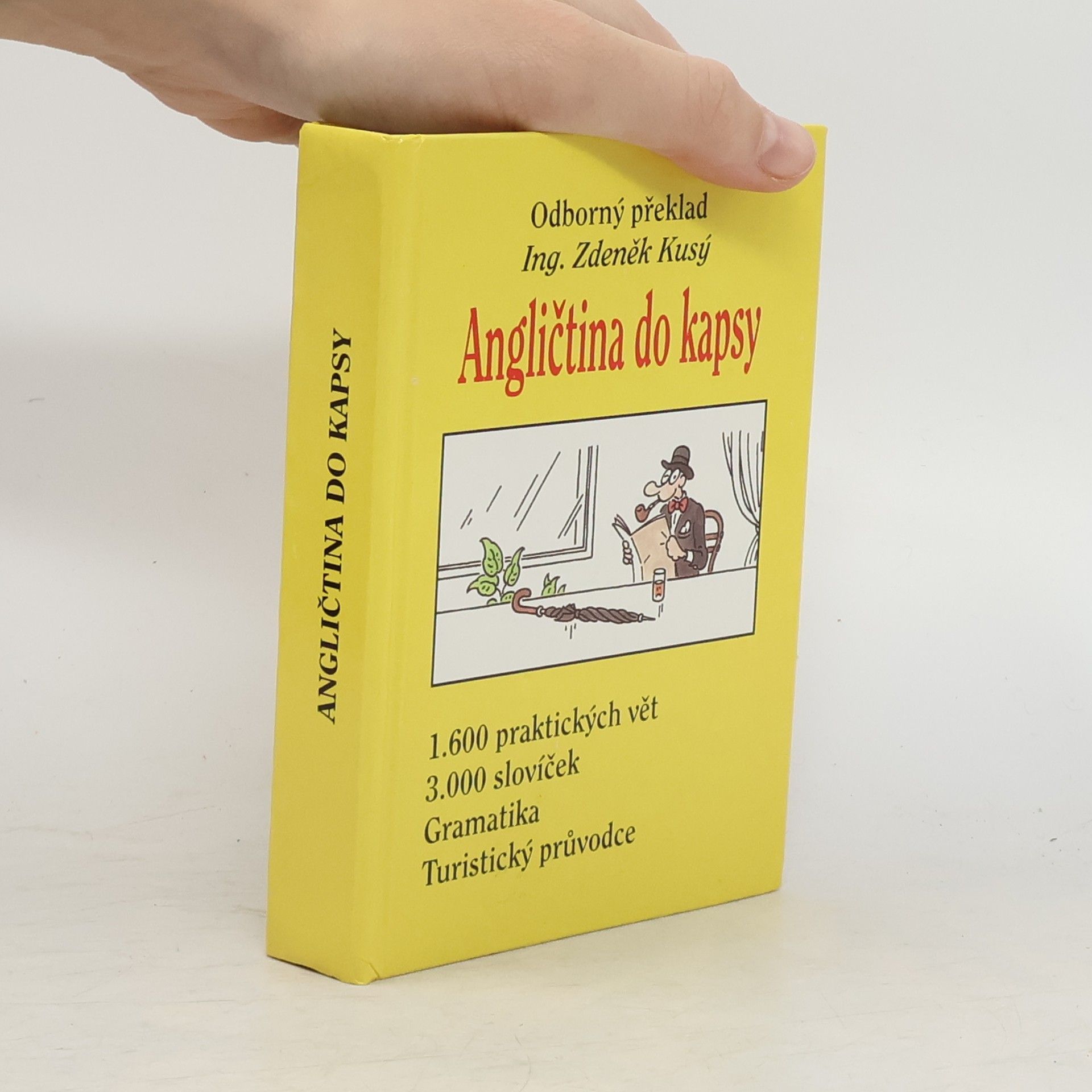 Angličtina do kapsy