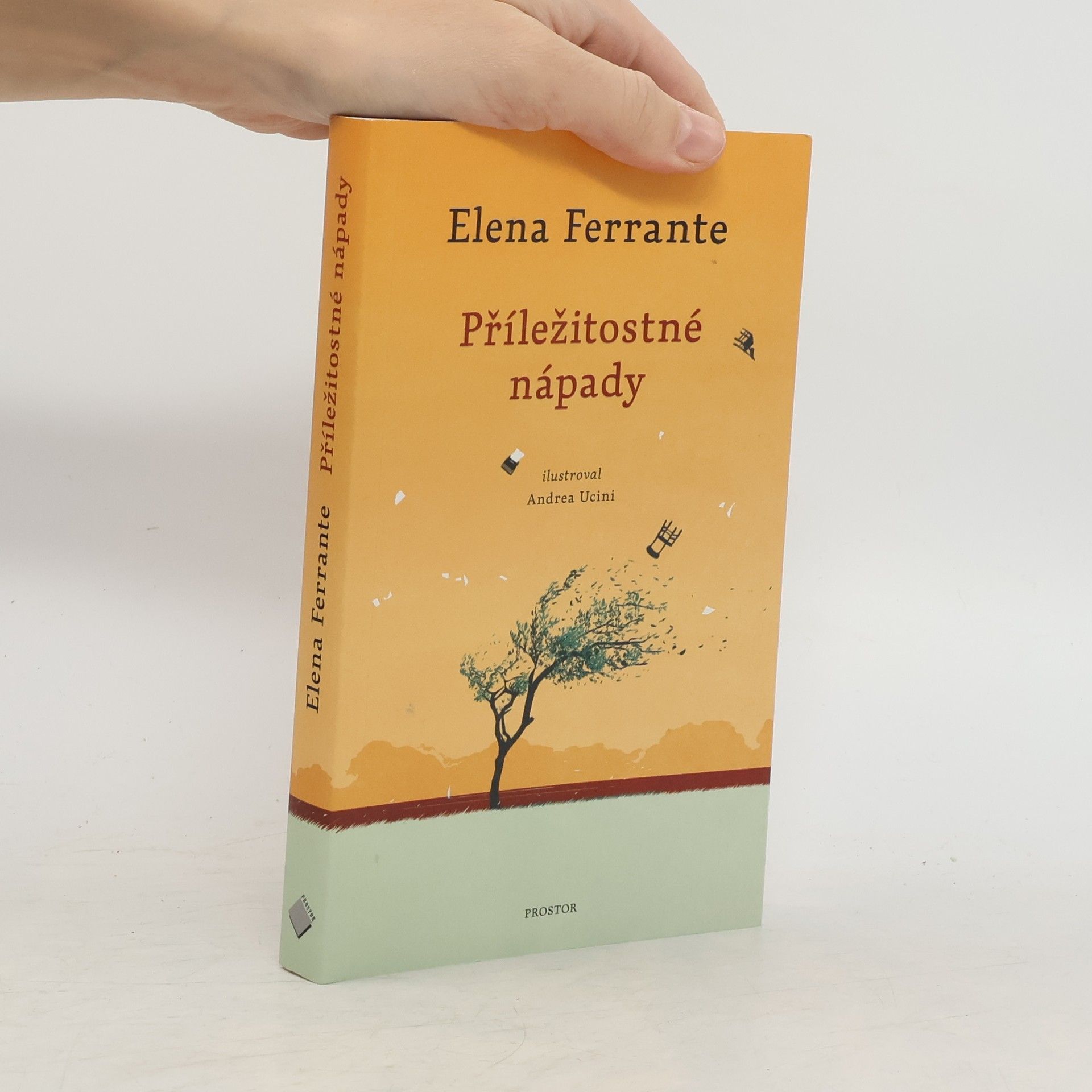 Elena Ferrante Příležitostné nápady