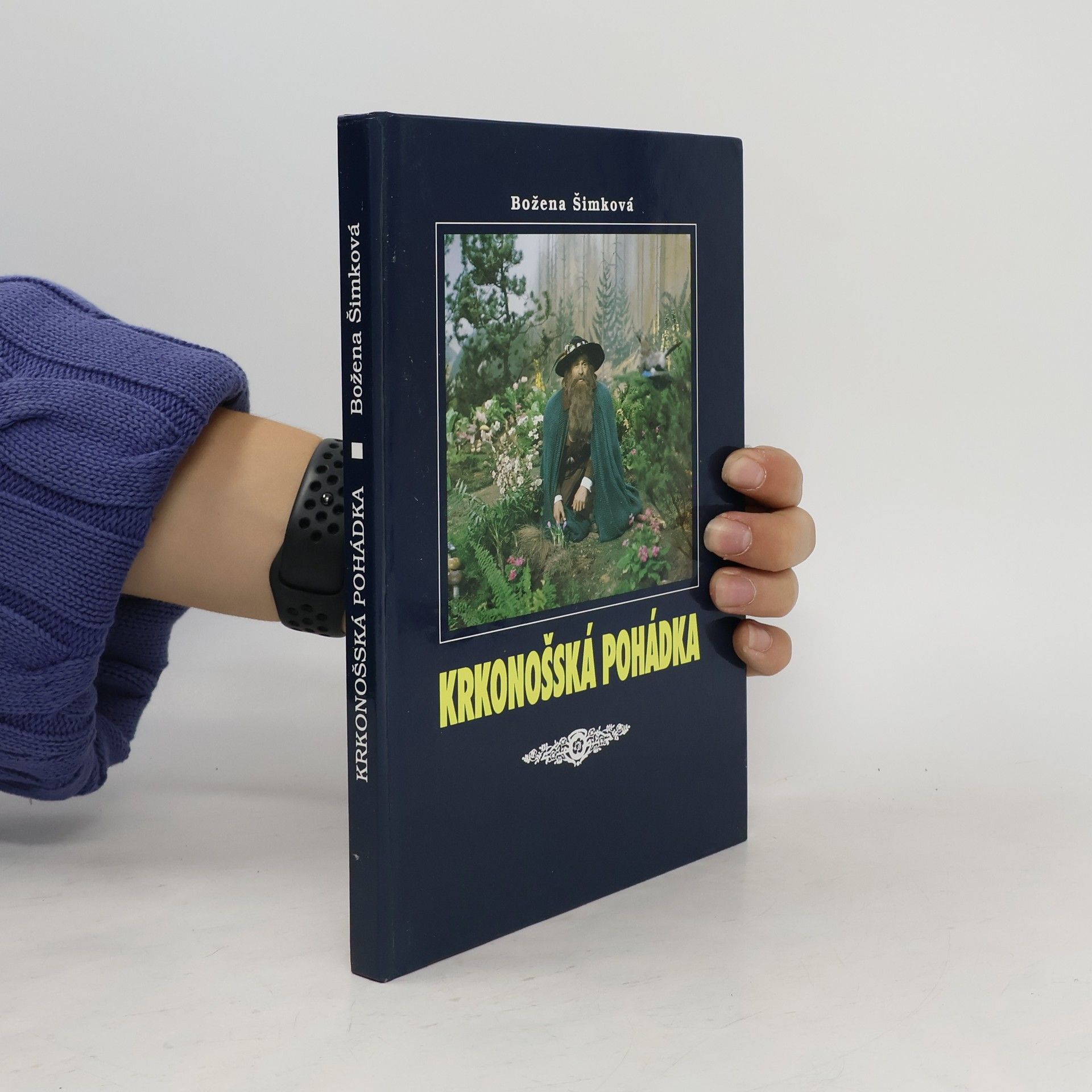 Krkonošská pohádka