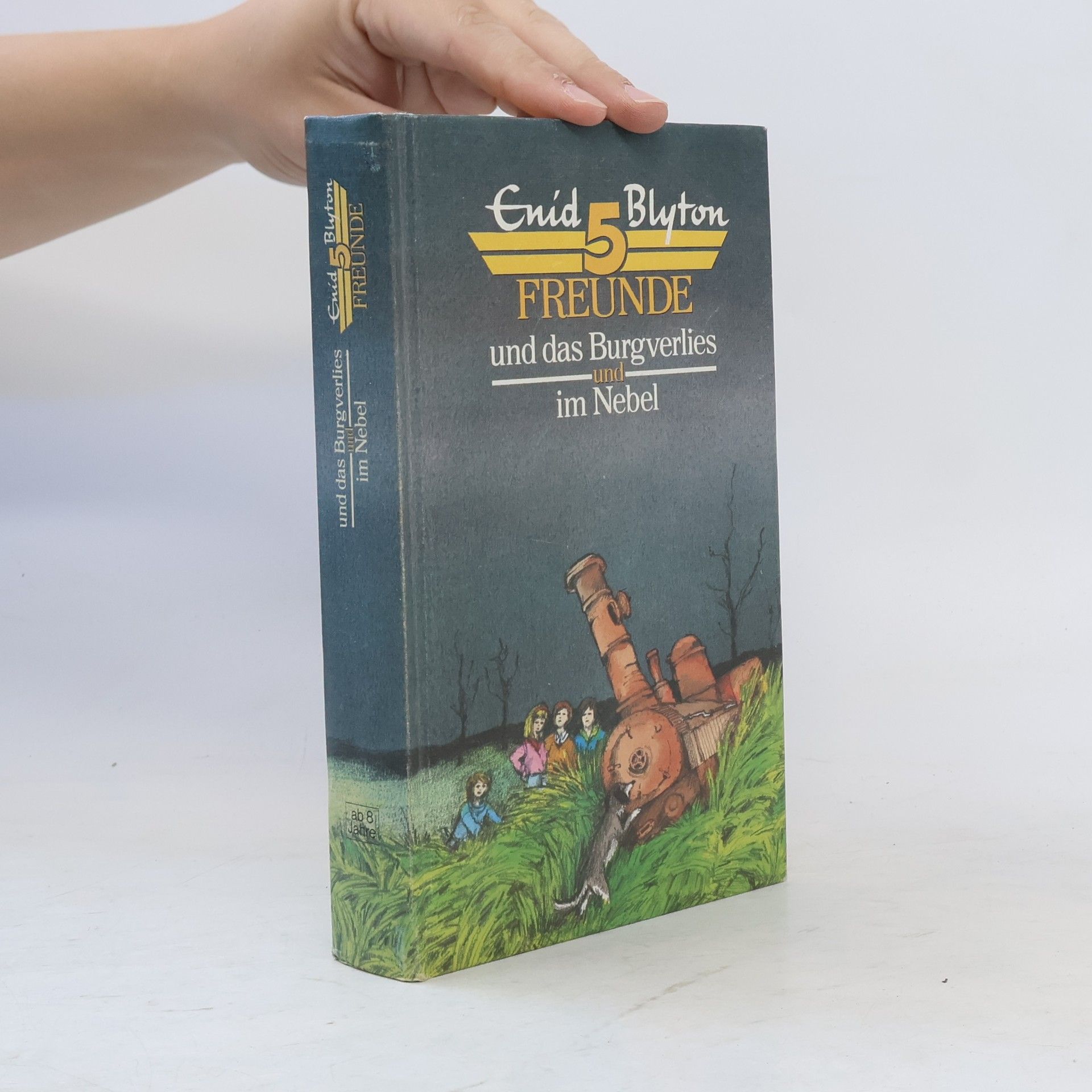 Enid Blyton 5 Freunde und das Burgverlies und im Nebel