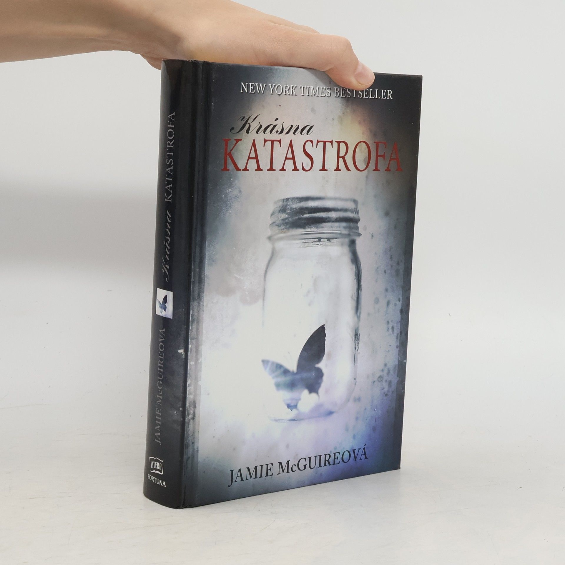 Jamie McGuire Krásná katastrofa
