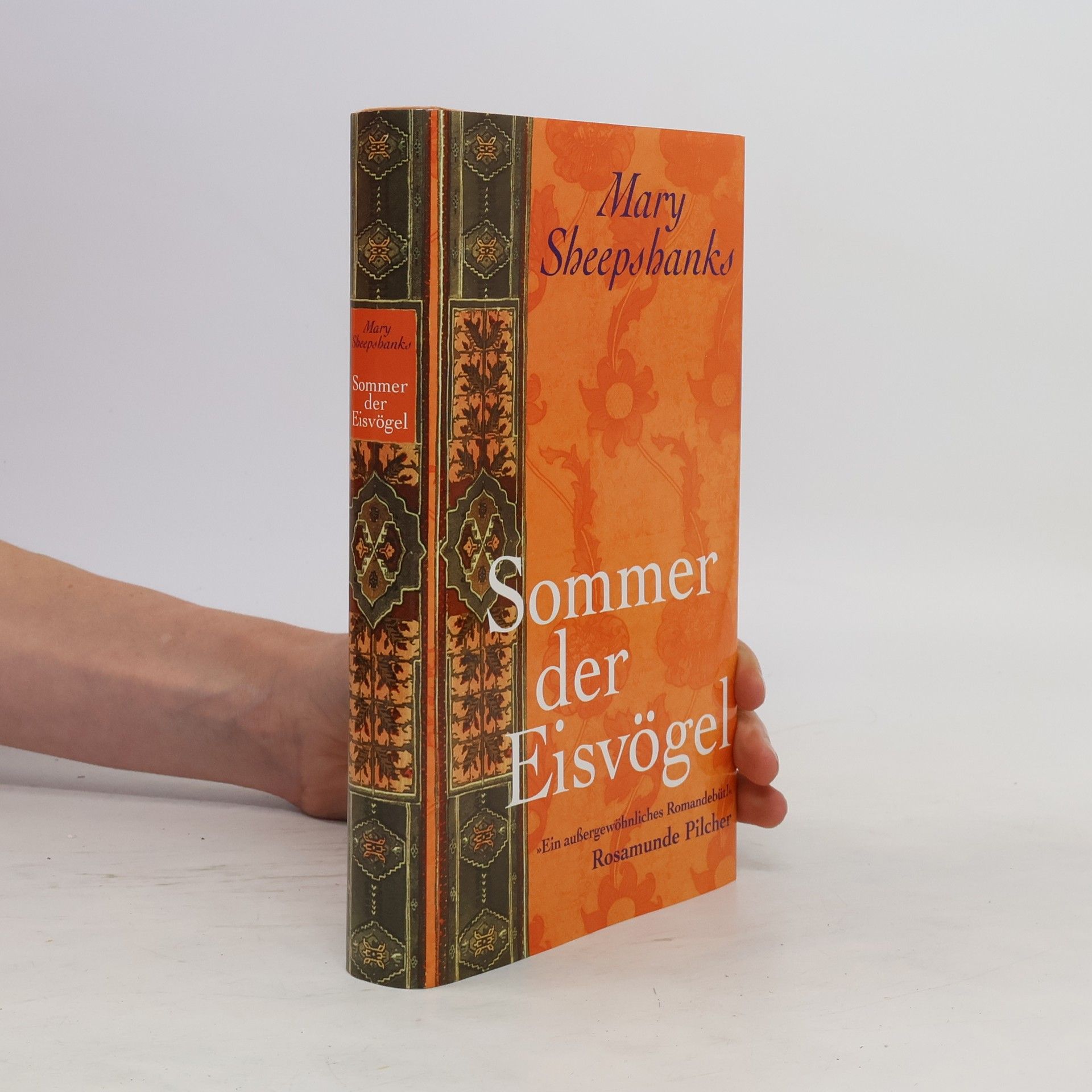 Sommer der Eisvögel