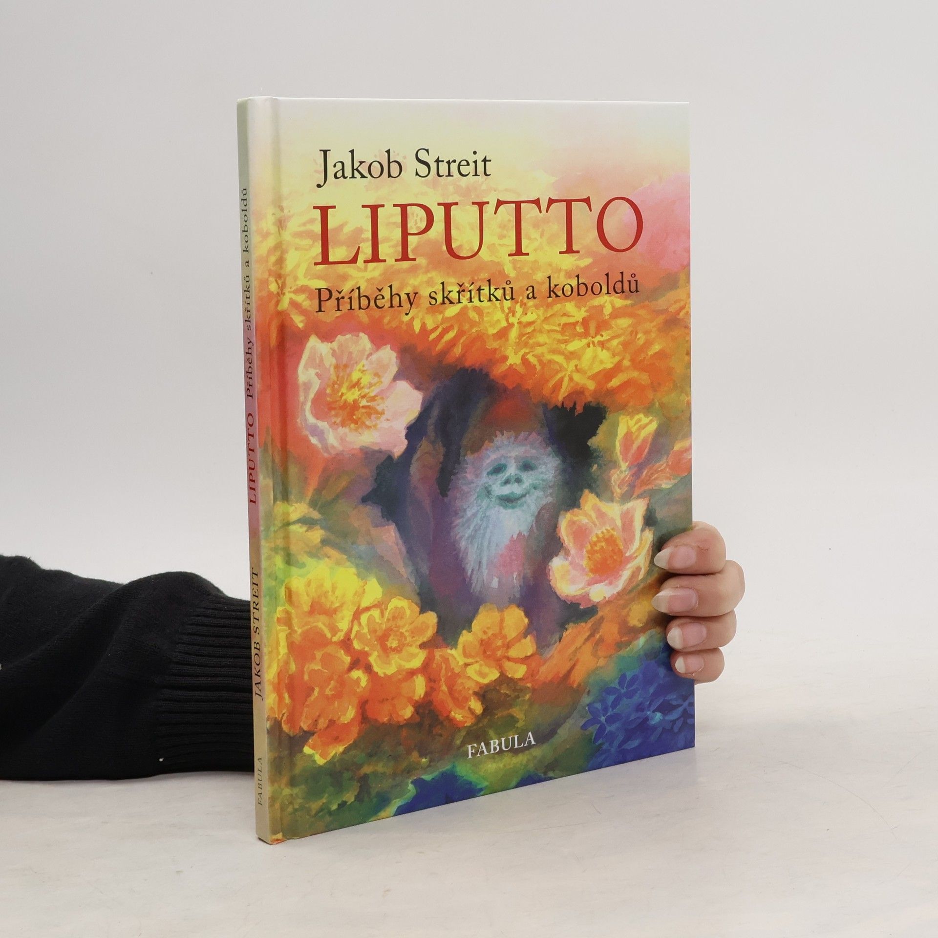 Jakob Streit Liputto : příběhy skřítků a koboldů