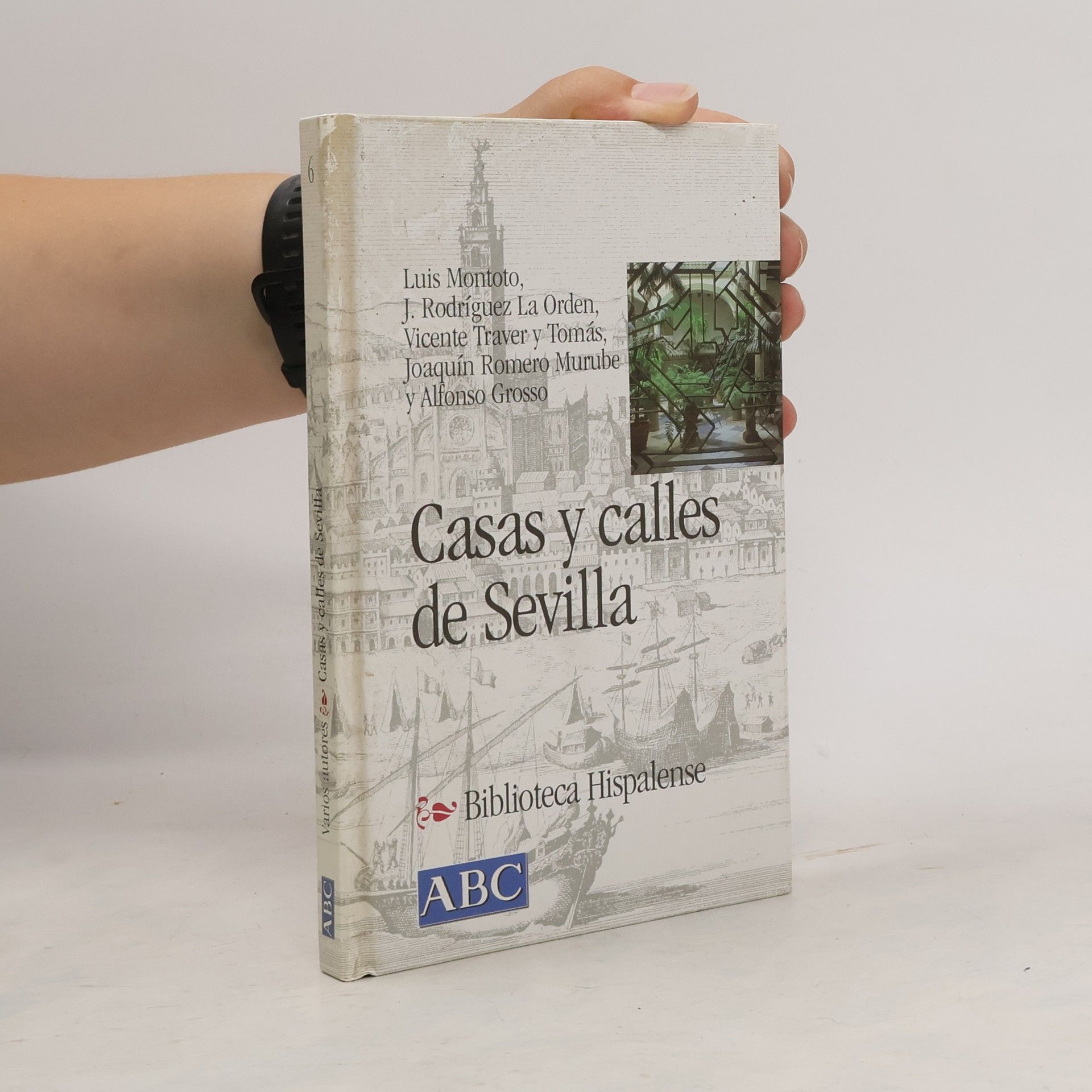 Autores varios Casas y calles de Sevilla