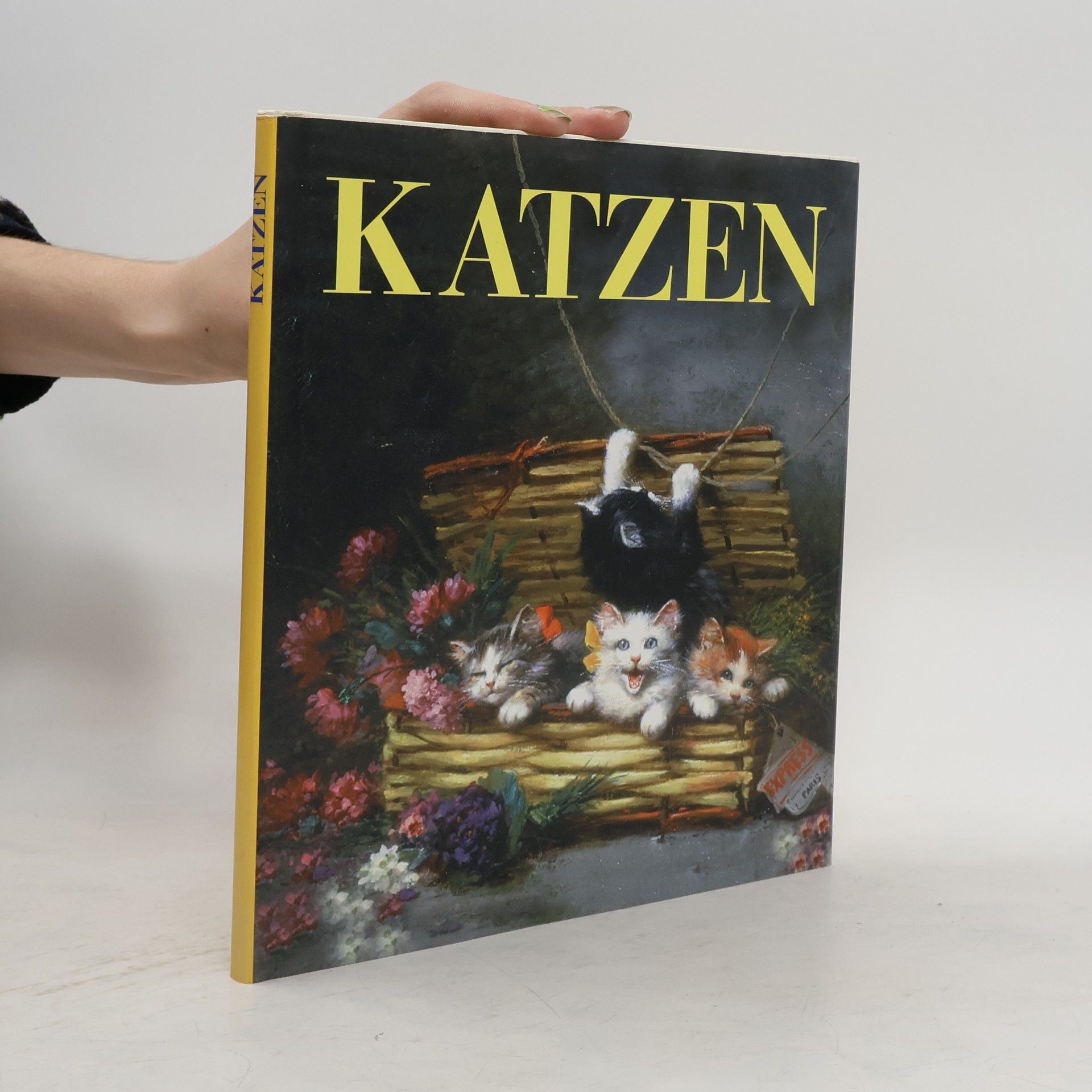 Autores varios Katzen