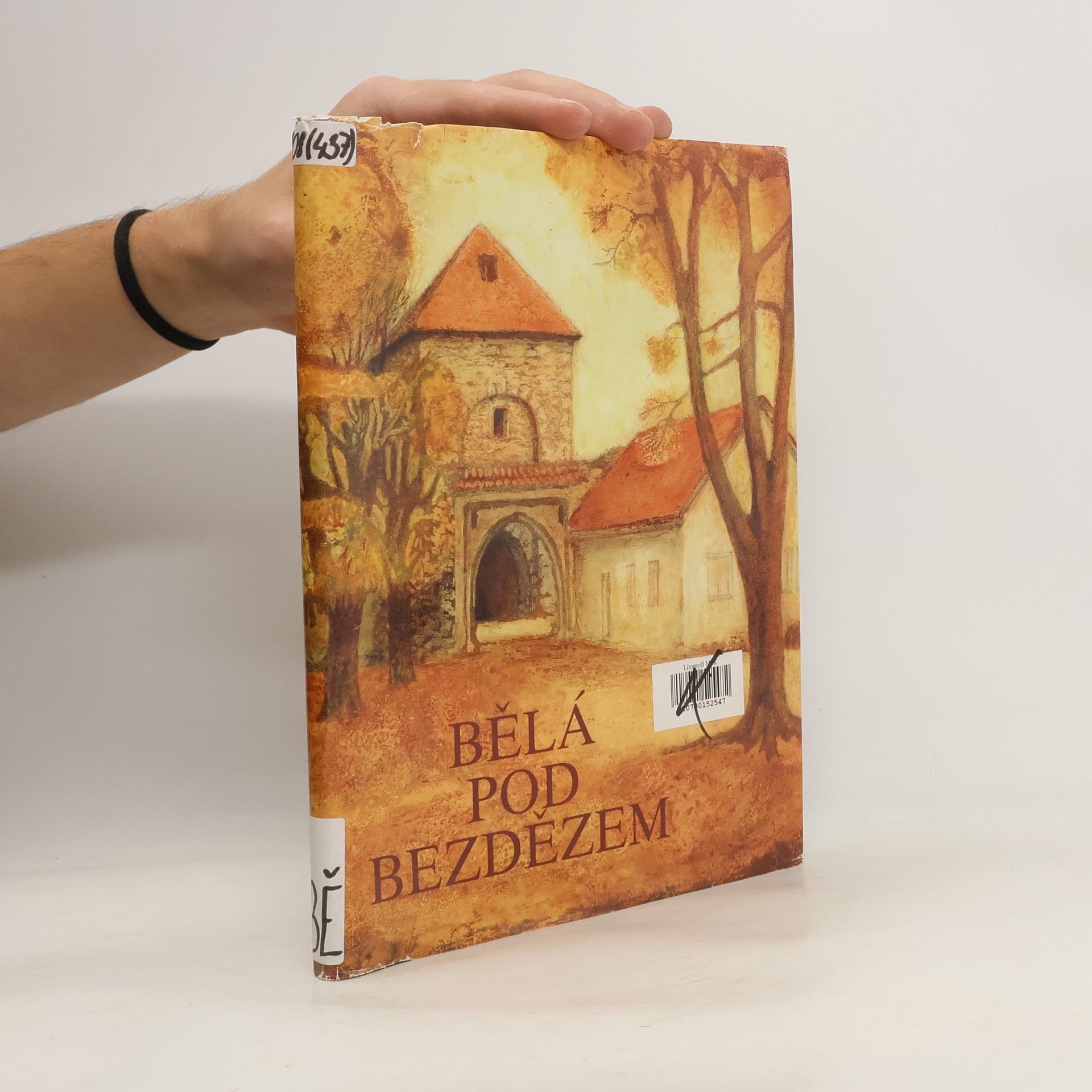 Collectif d'auteurs Bělá pod Bezdězem