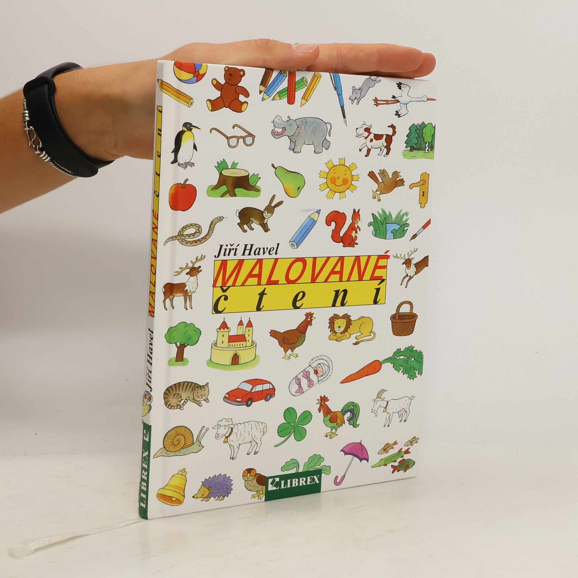 Jiří Havel Malované čtení