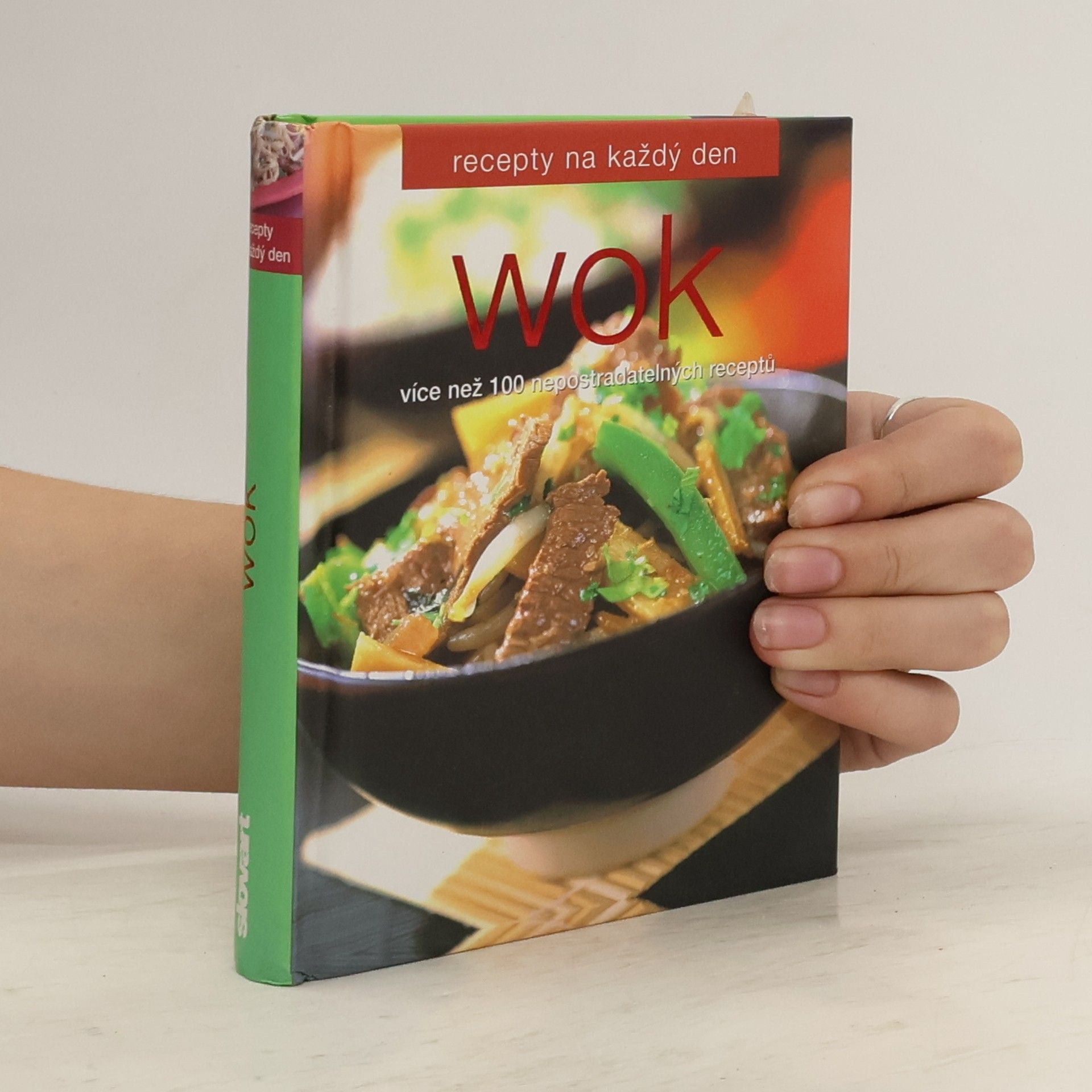 Kolektív autorov Wok : [více než 100 nepostradatelných receptů]