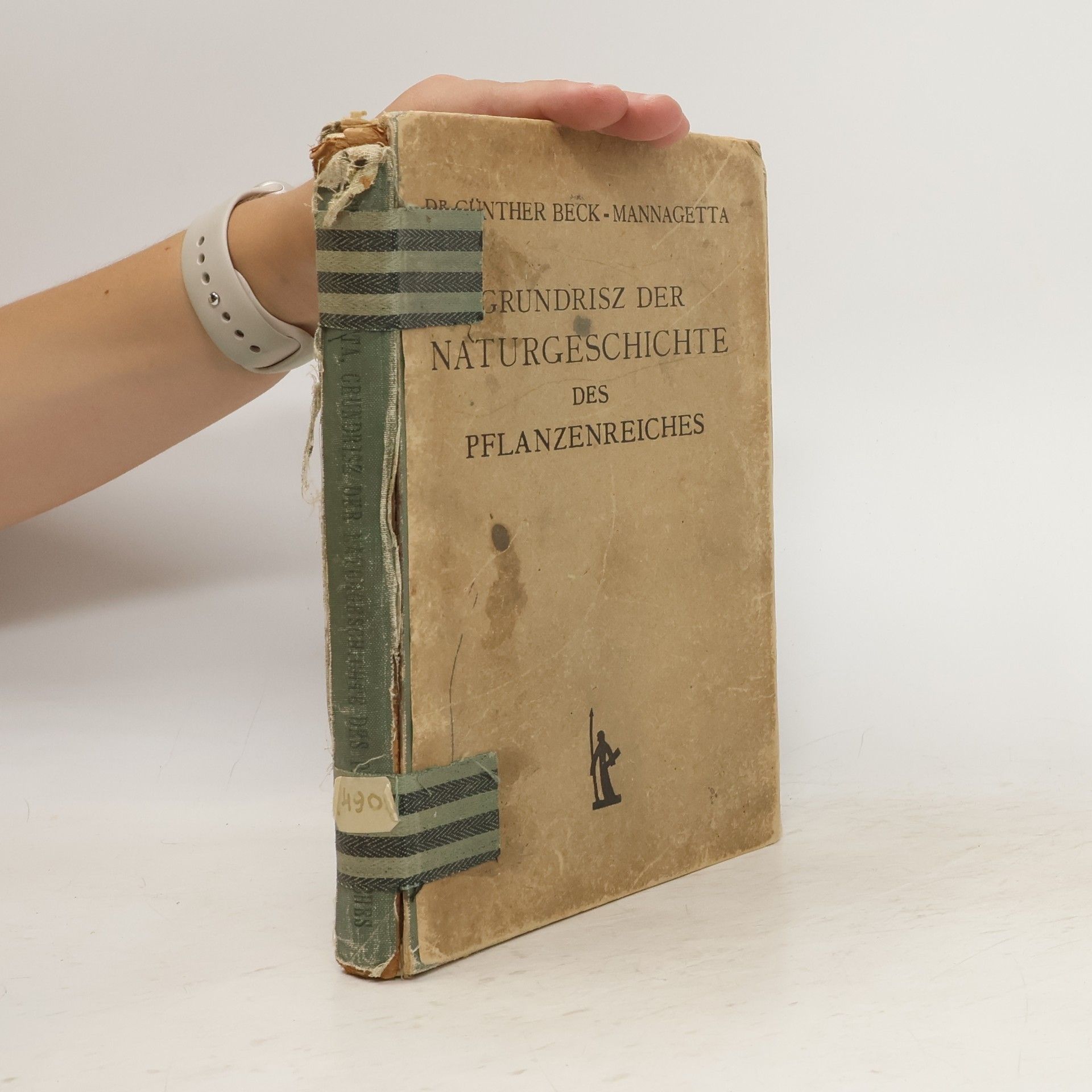 G. Beck-Mannagetta Grundrisz der Naturgeschichte des Pflanzenreiches