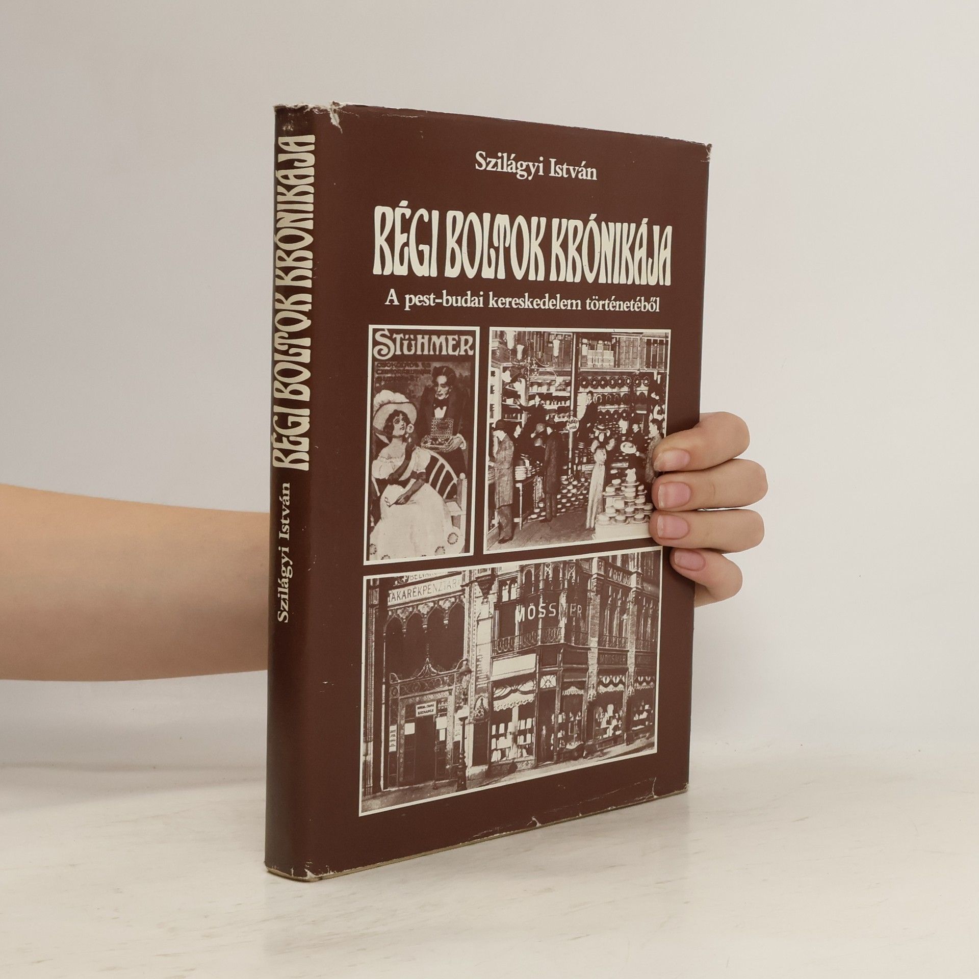 Szilágyi István Régi boltok krónikája