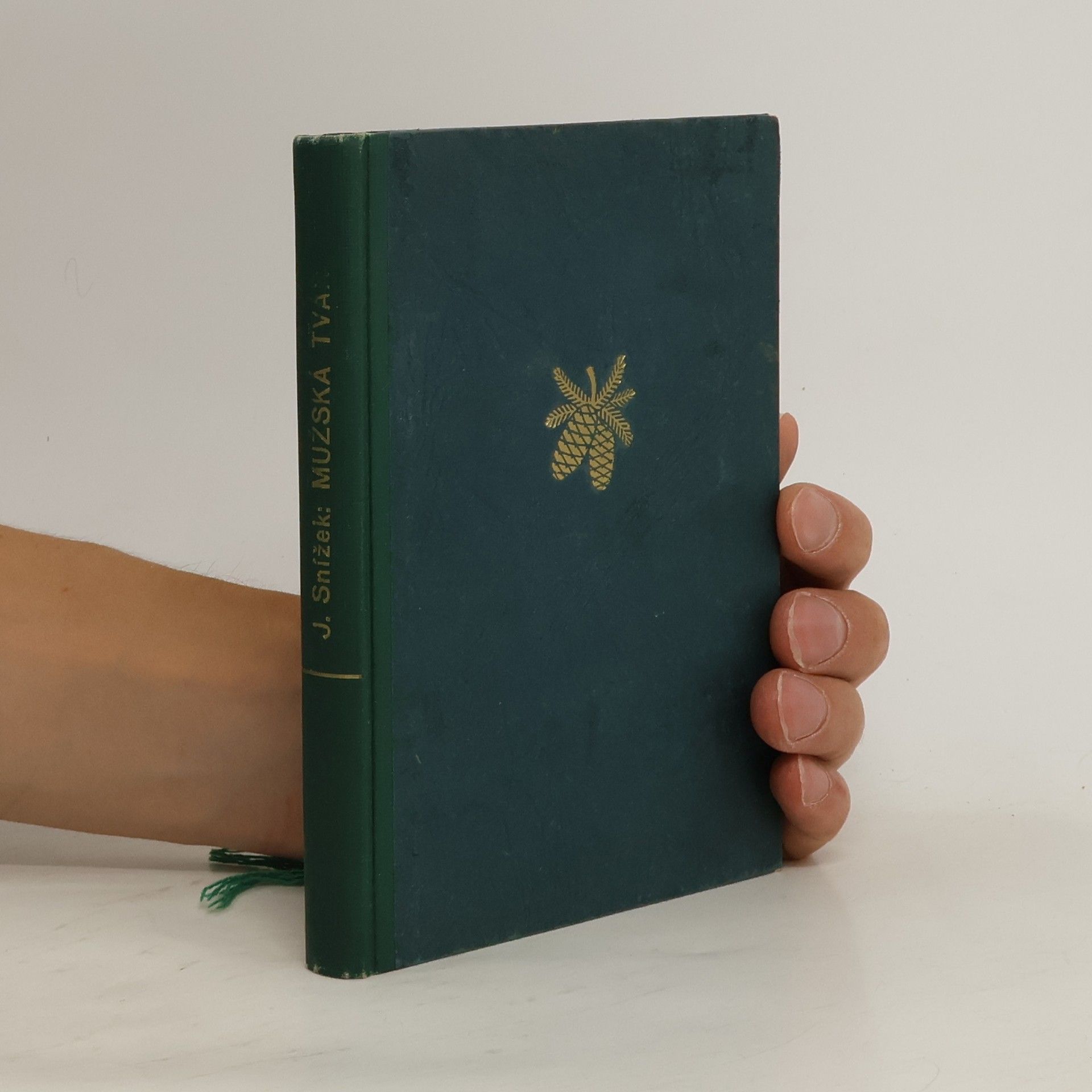 Jindřich Snížek Mužská tvář