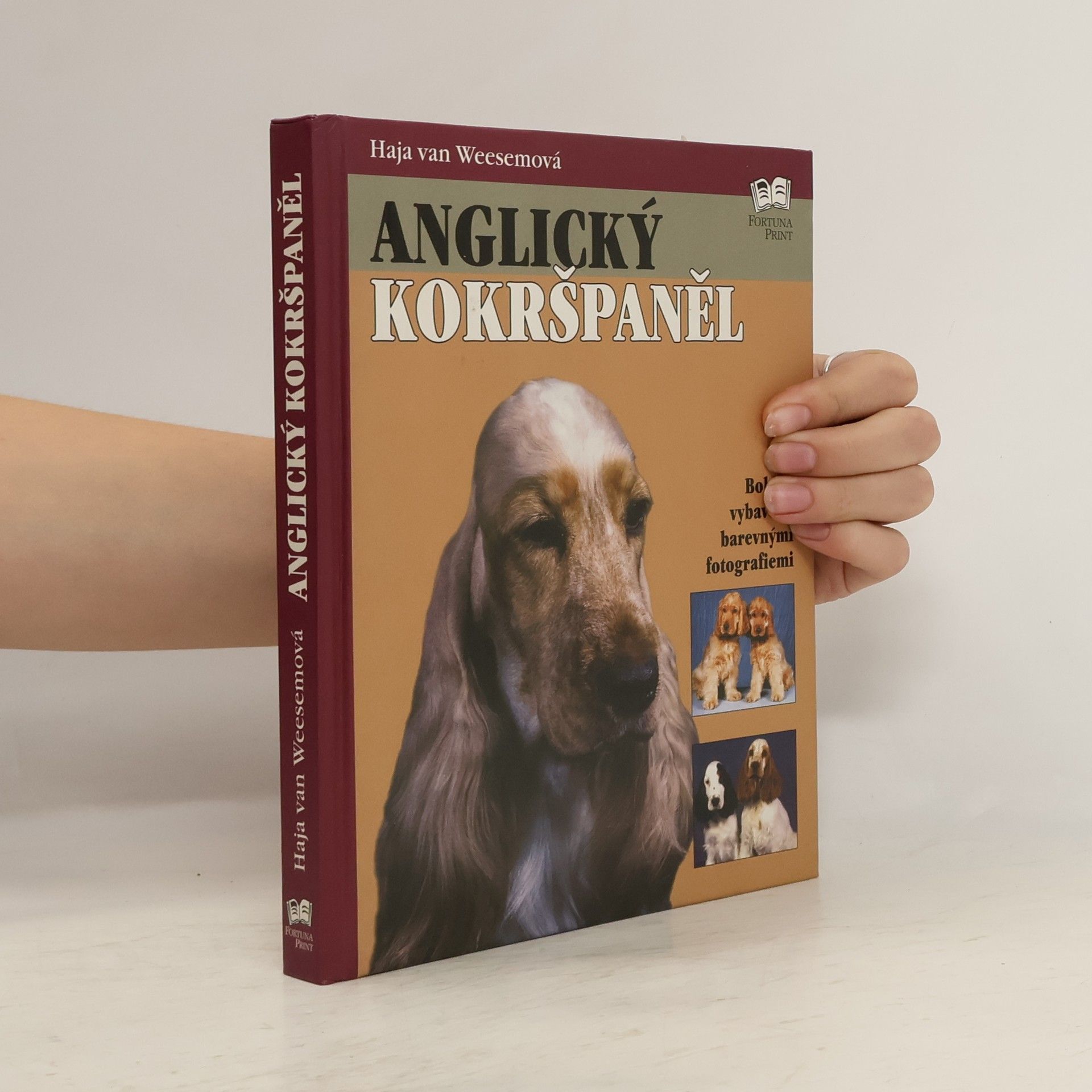 Haja van Wessem Anglický kokršpaněl