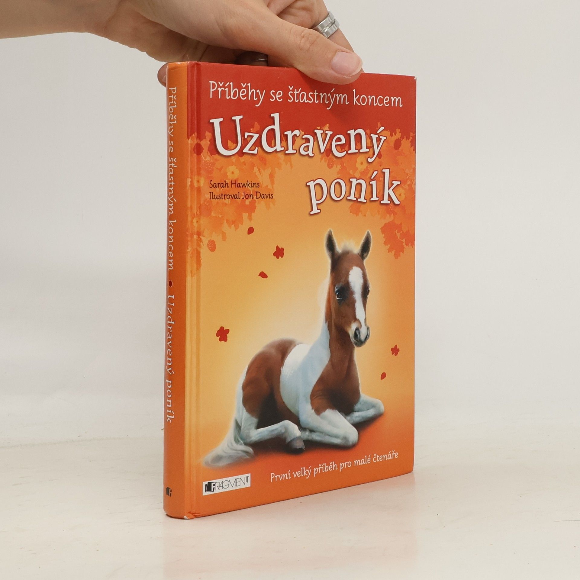 Eva Brožová Uzdravený poník