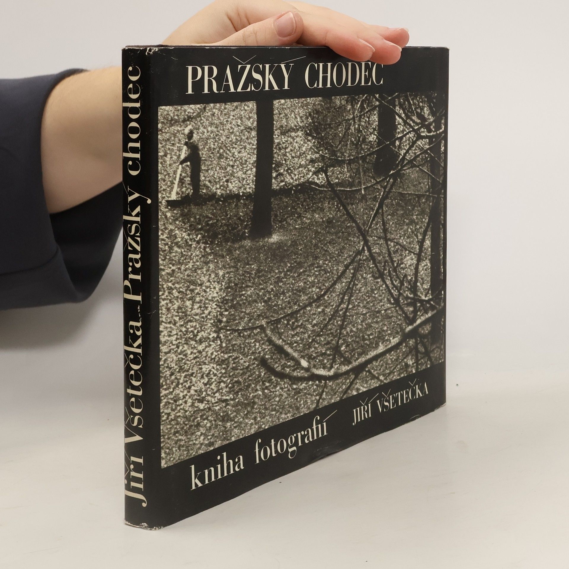 Jiří Všetečka Pražský chodec