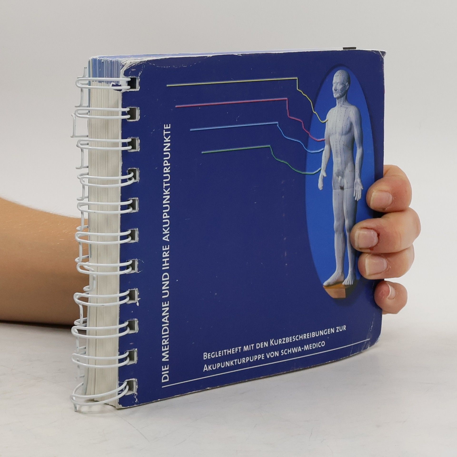 Karin Bushe-Centmayer Die Meridiane und ihre Akupunkturpunkte