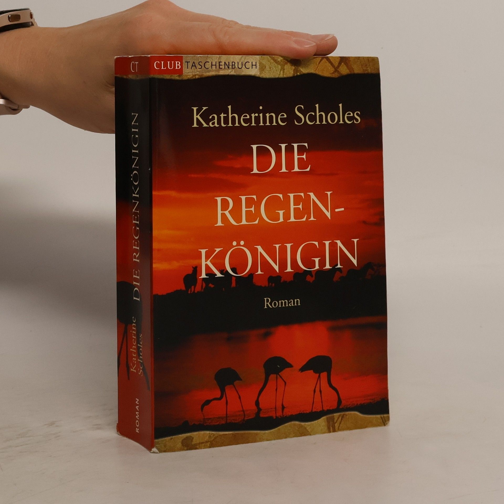 Katherine Scholes Die Regenkönigin