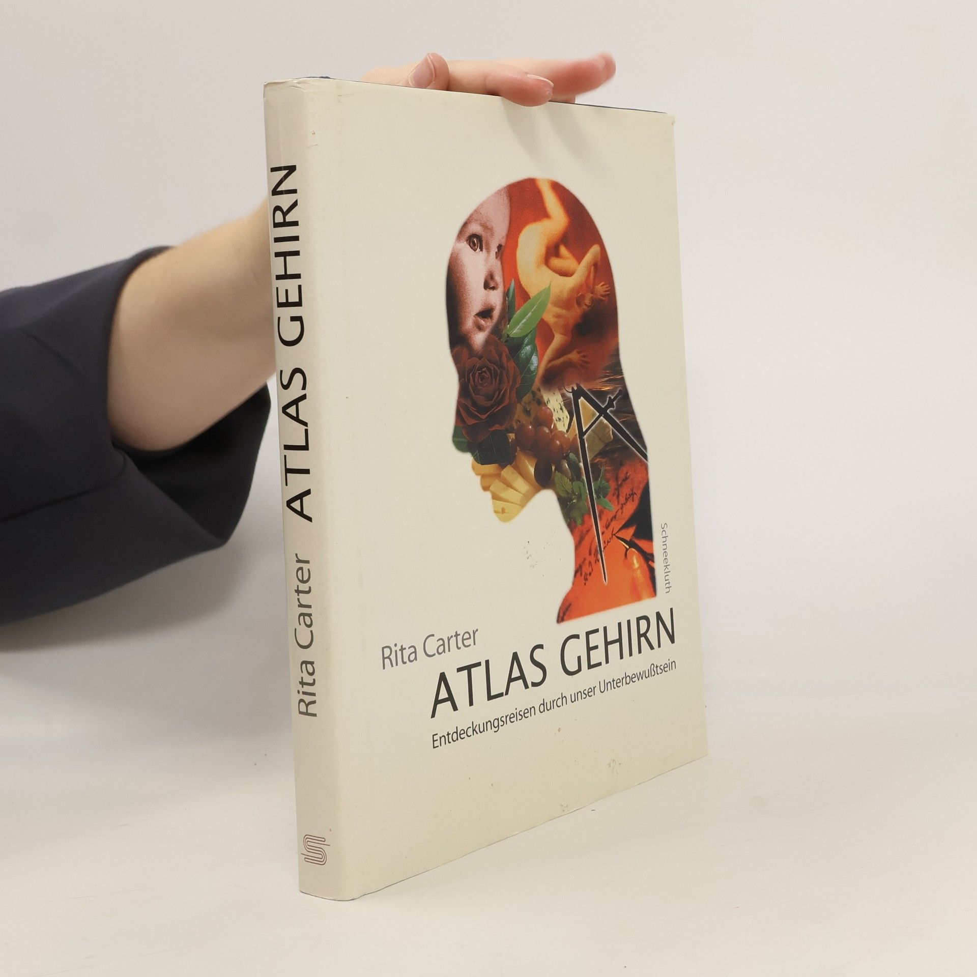 Atlas Gehirn