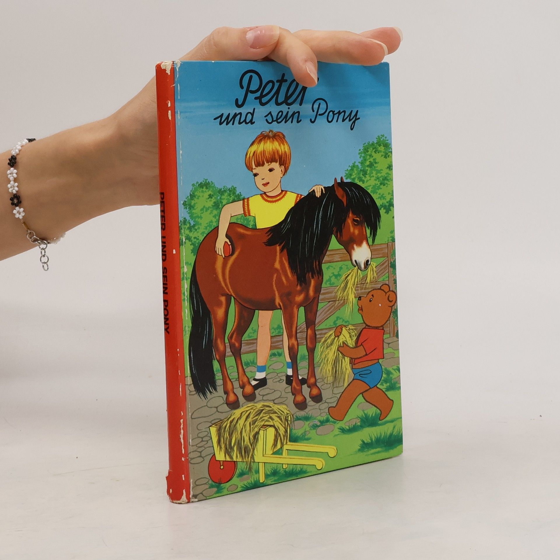kolektiv Peter und sein Pony