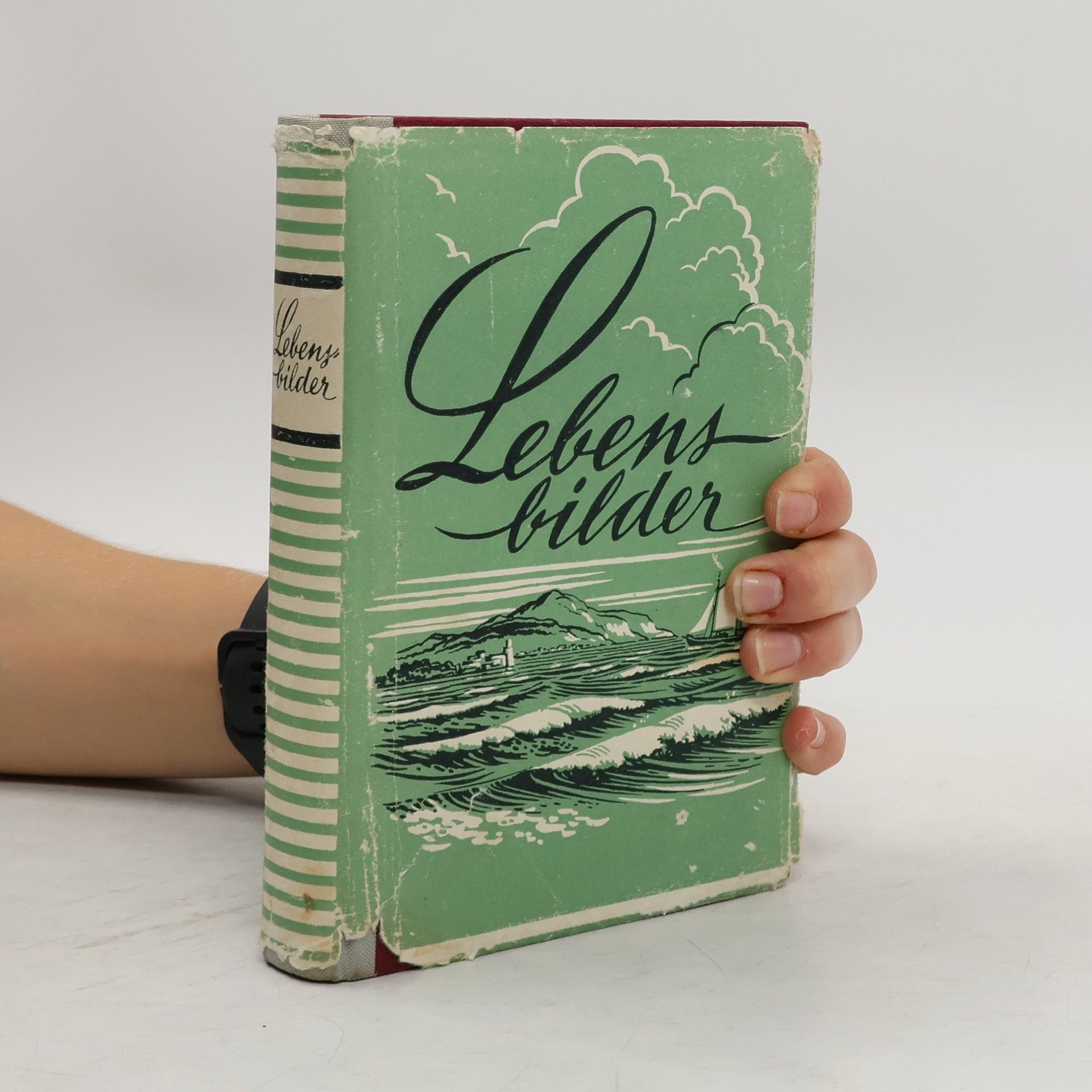 Autorenkollektiv Lebensbilder