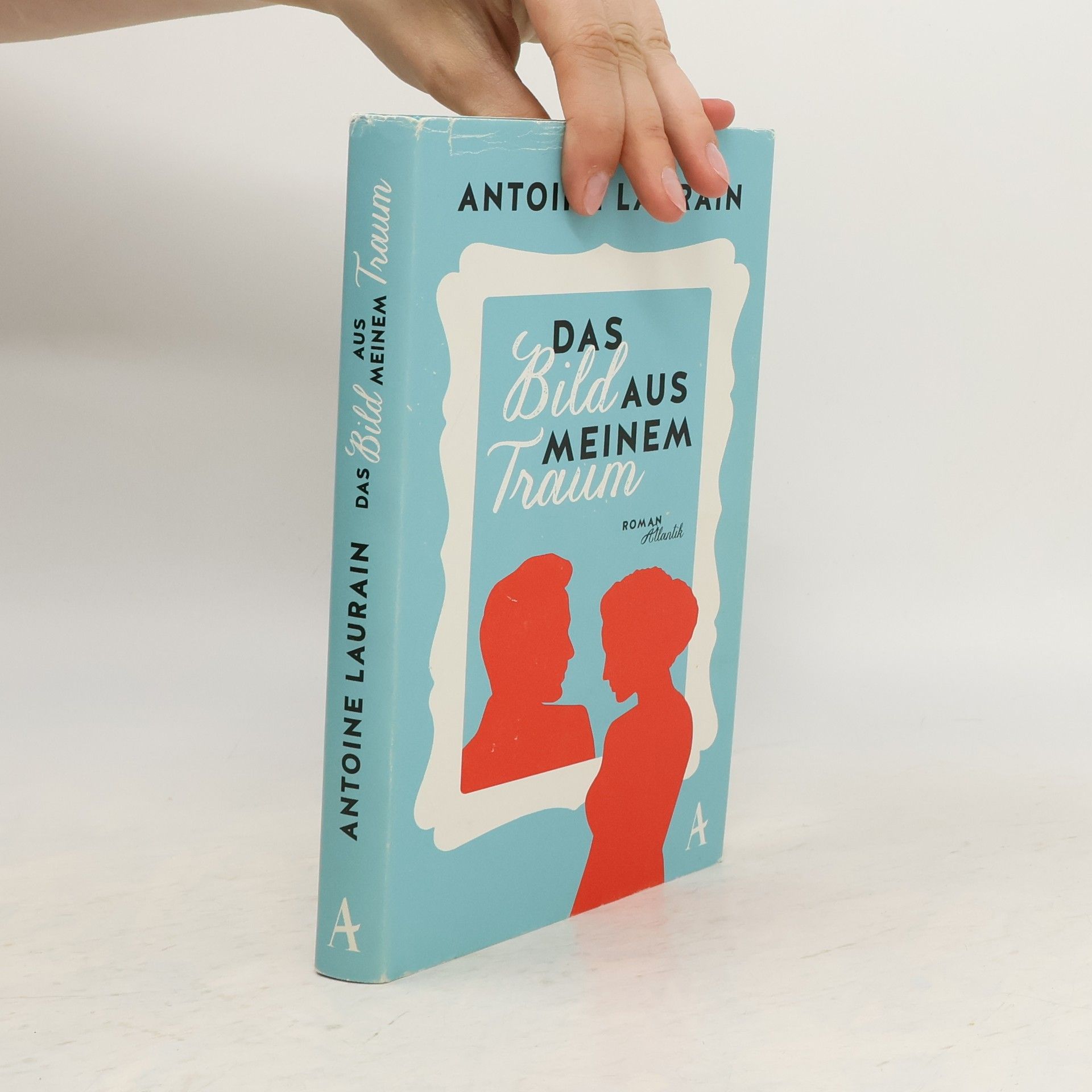 Antoine Laurain Das Bild aus meinem Traum