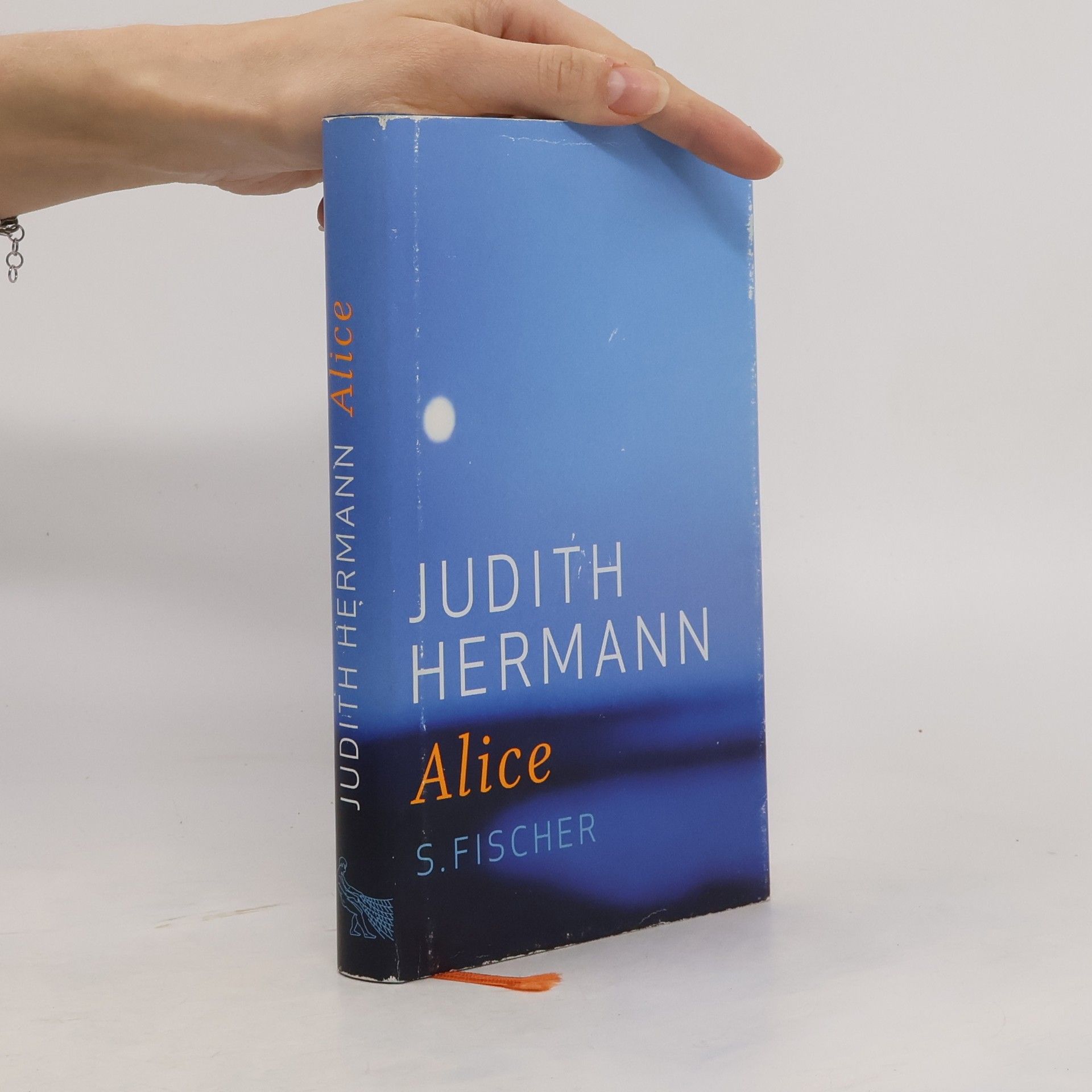 Judith Hermann Alice