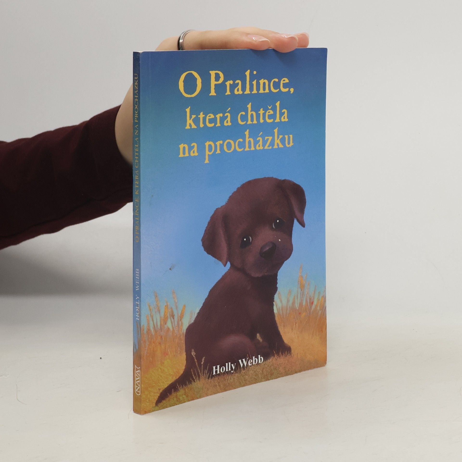 Holly Webb O Pralince, která chtěla na procházku