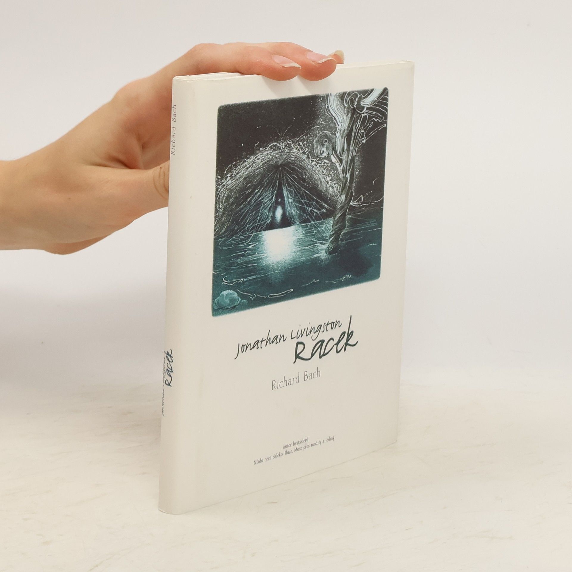Richard David Bach Jonathan Livingston: Racek