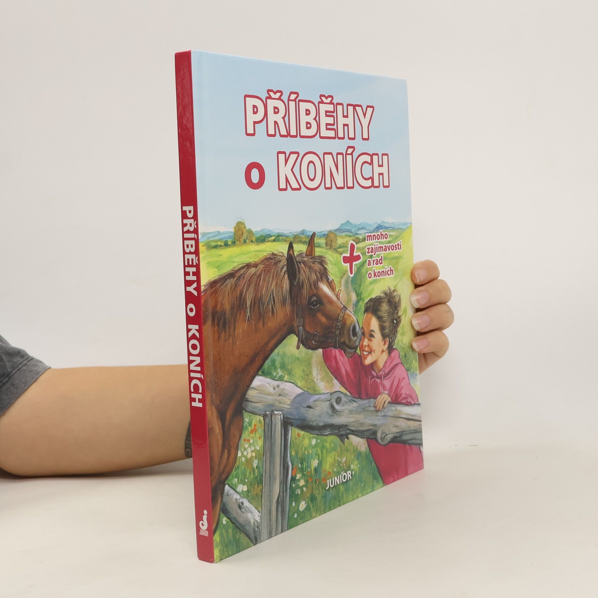 Kolektiv autorů Příběhy o koních