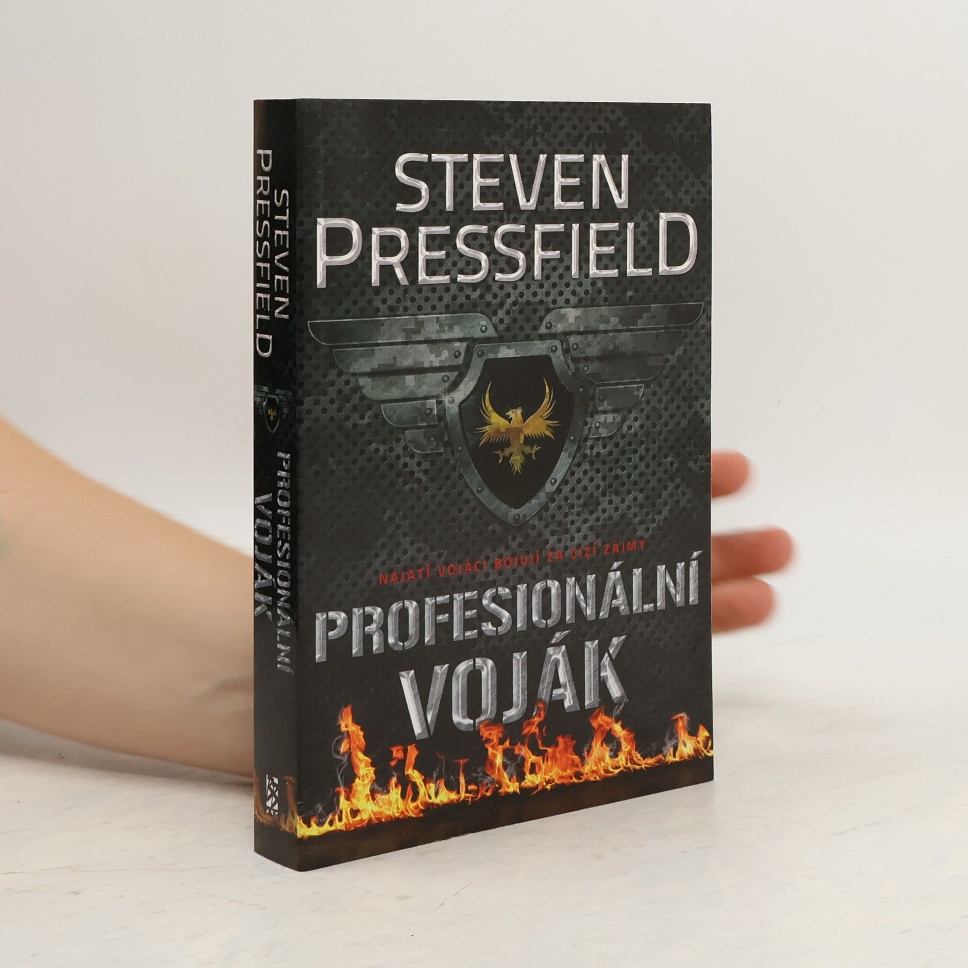 Profesionální voják